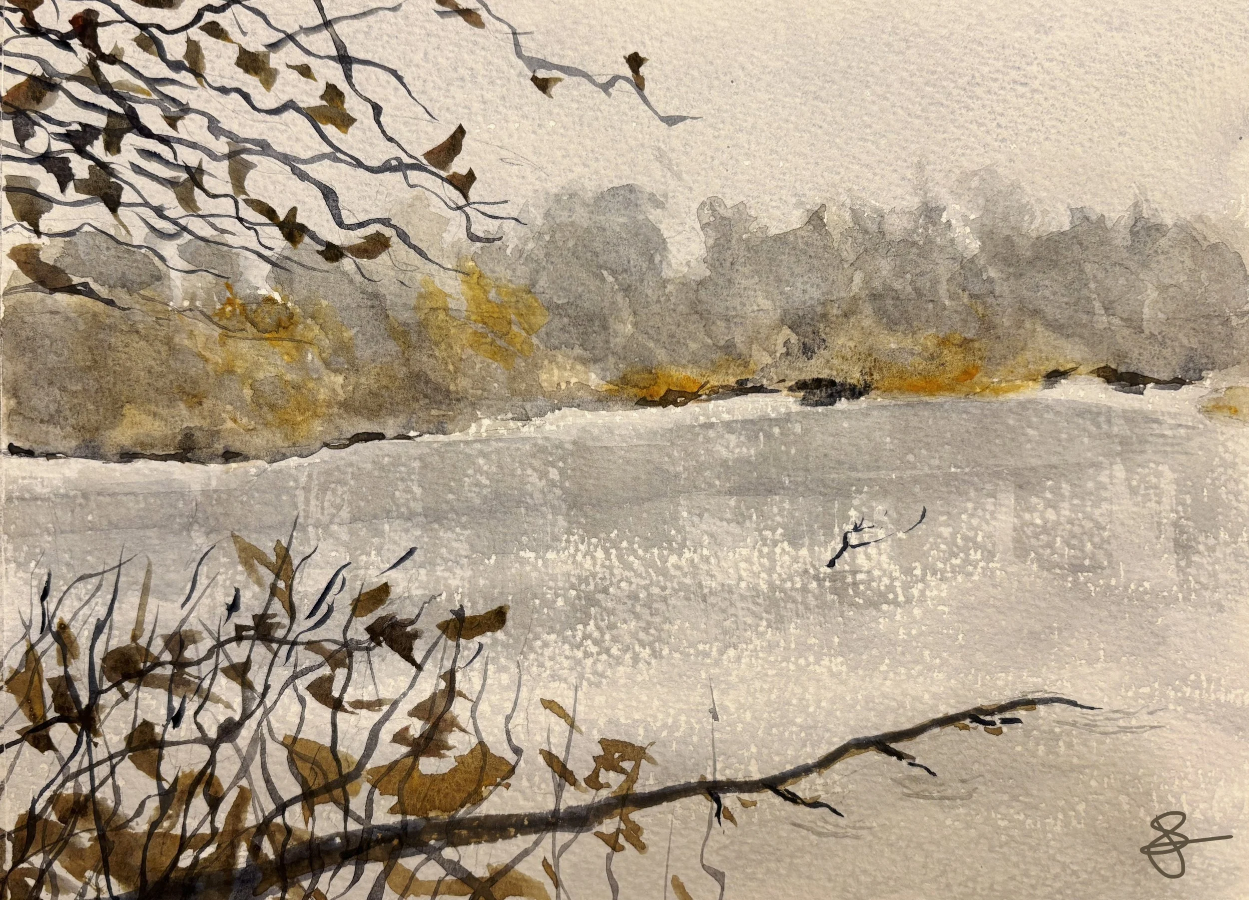 Pine Run - Watercolor