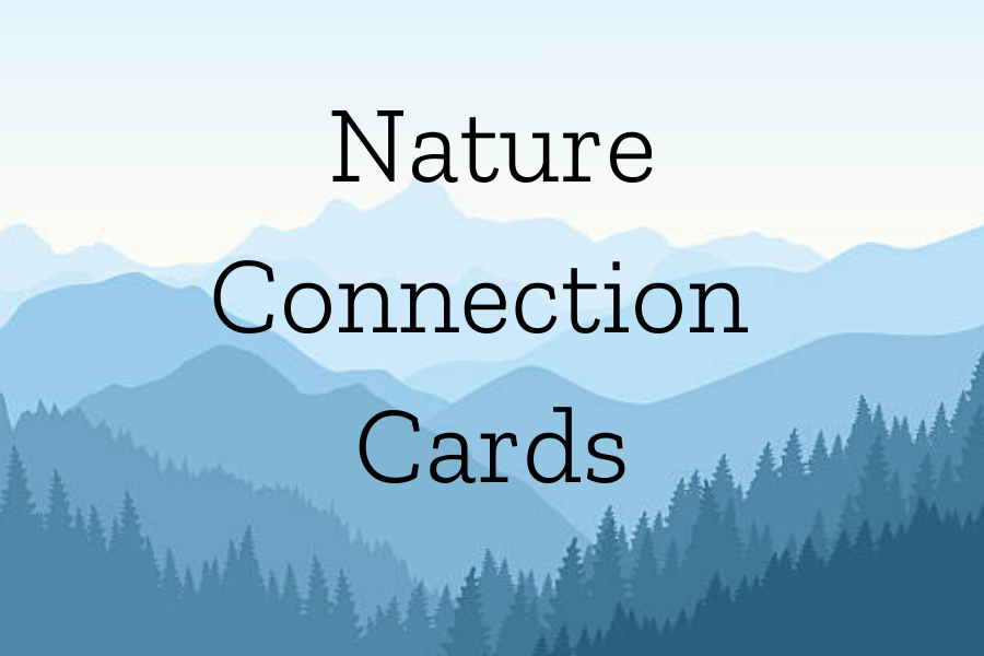 Nature Connection Cards