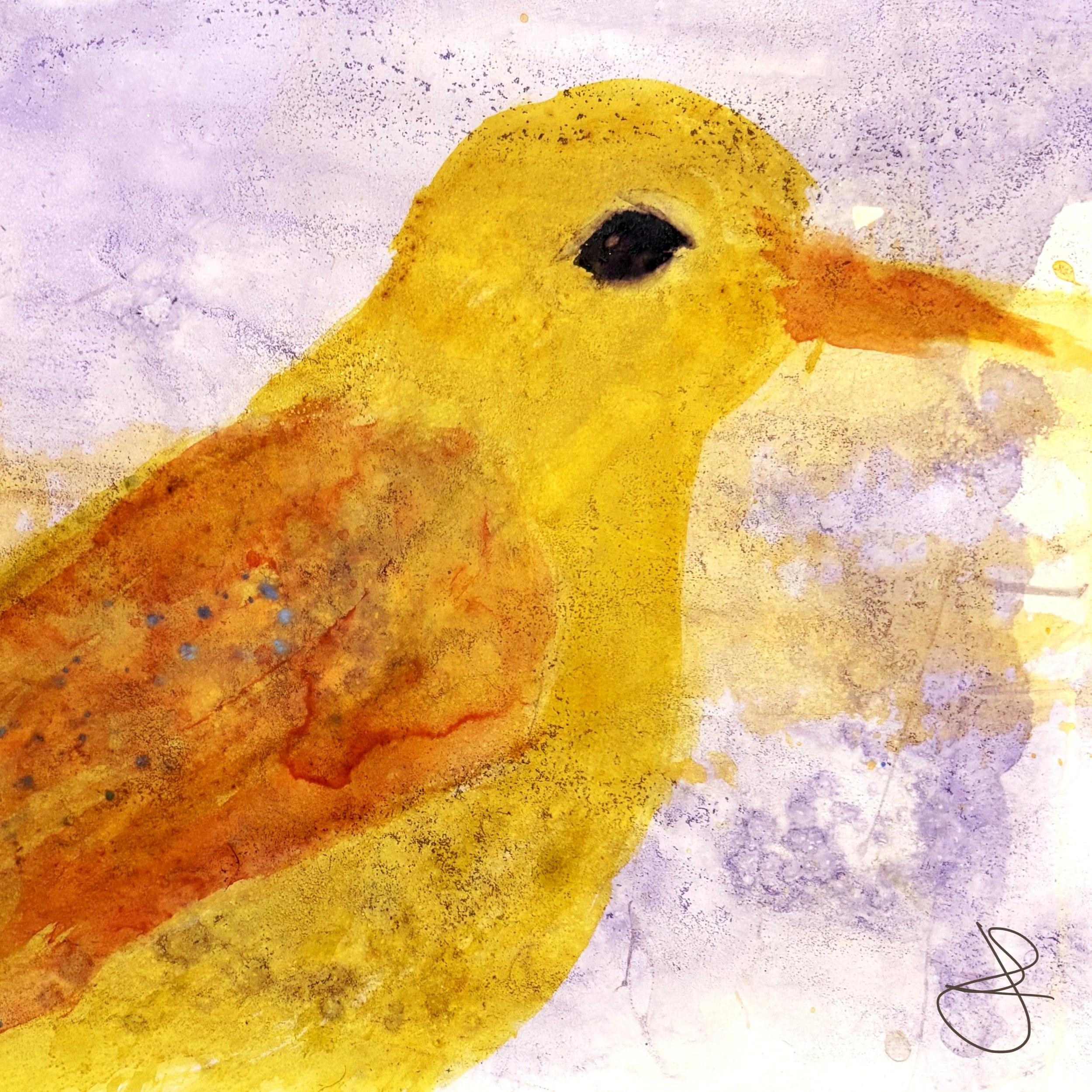 Animal Portraits