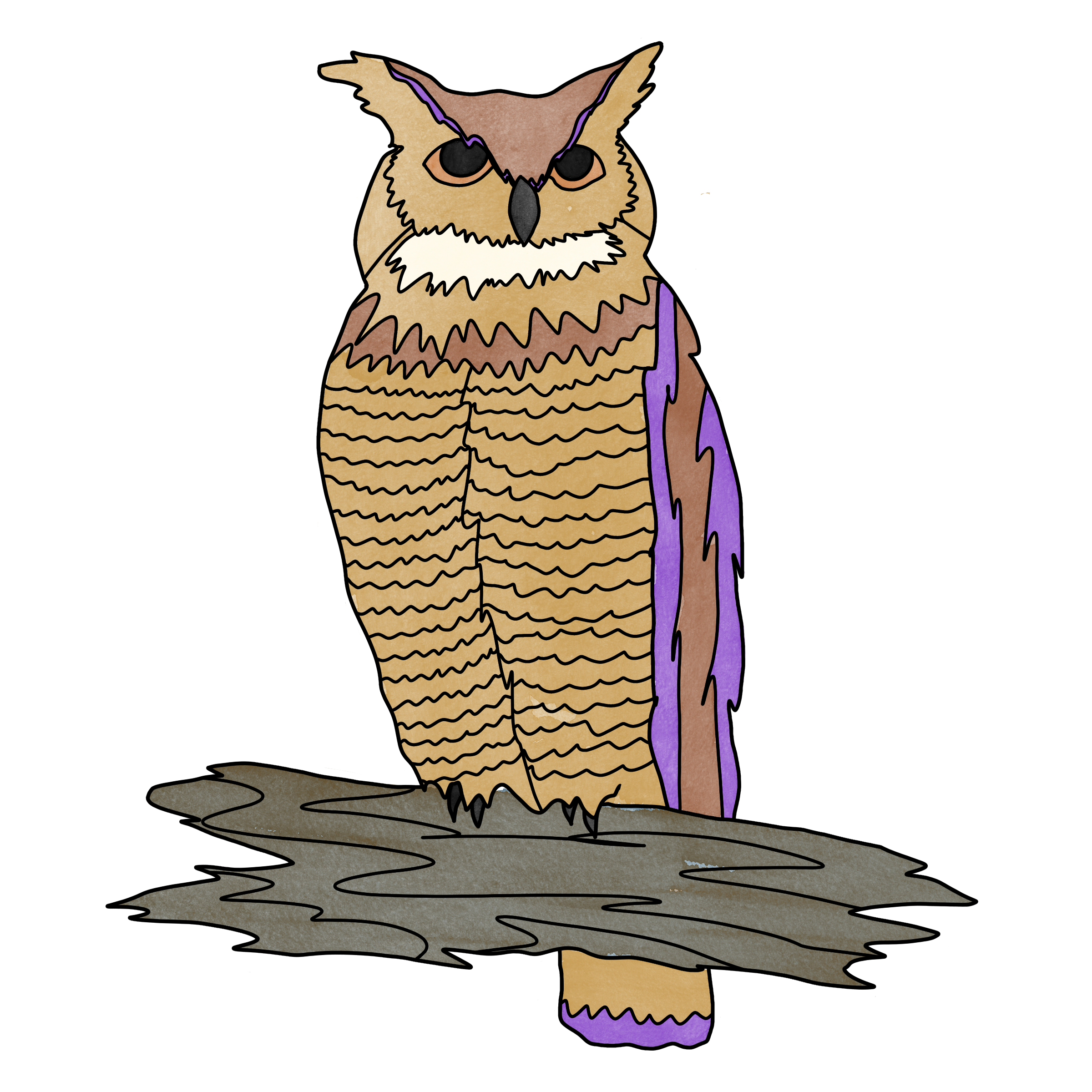 Owl_1.png