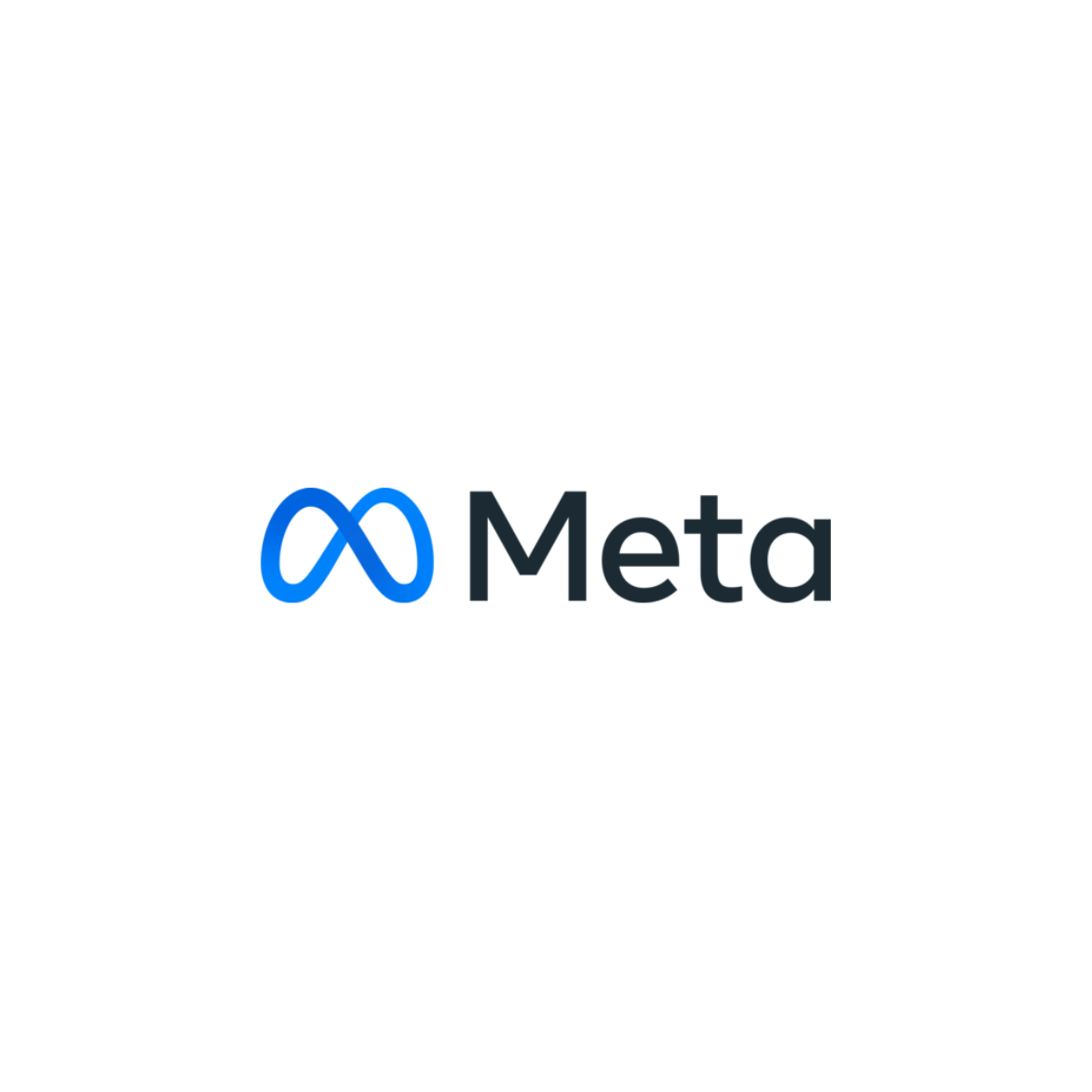 Meta Accelerator Program 