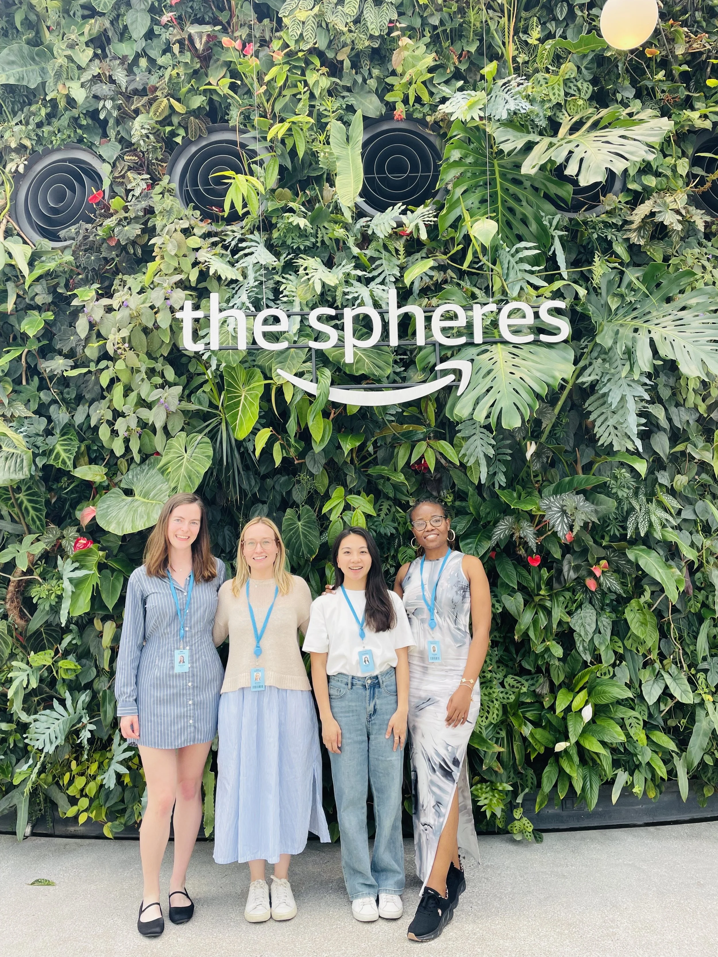 Amazon internship project visual