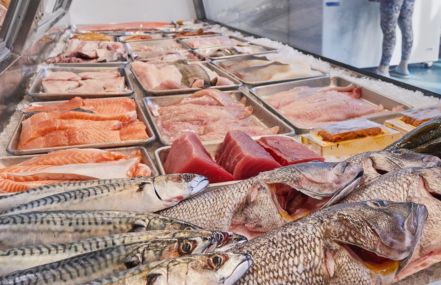 About the fish share — FEARLESS FISH