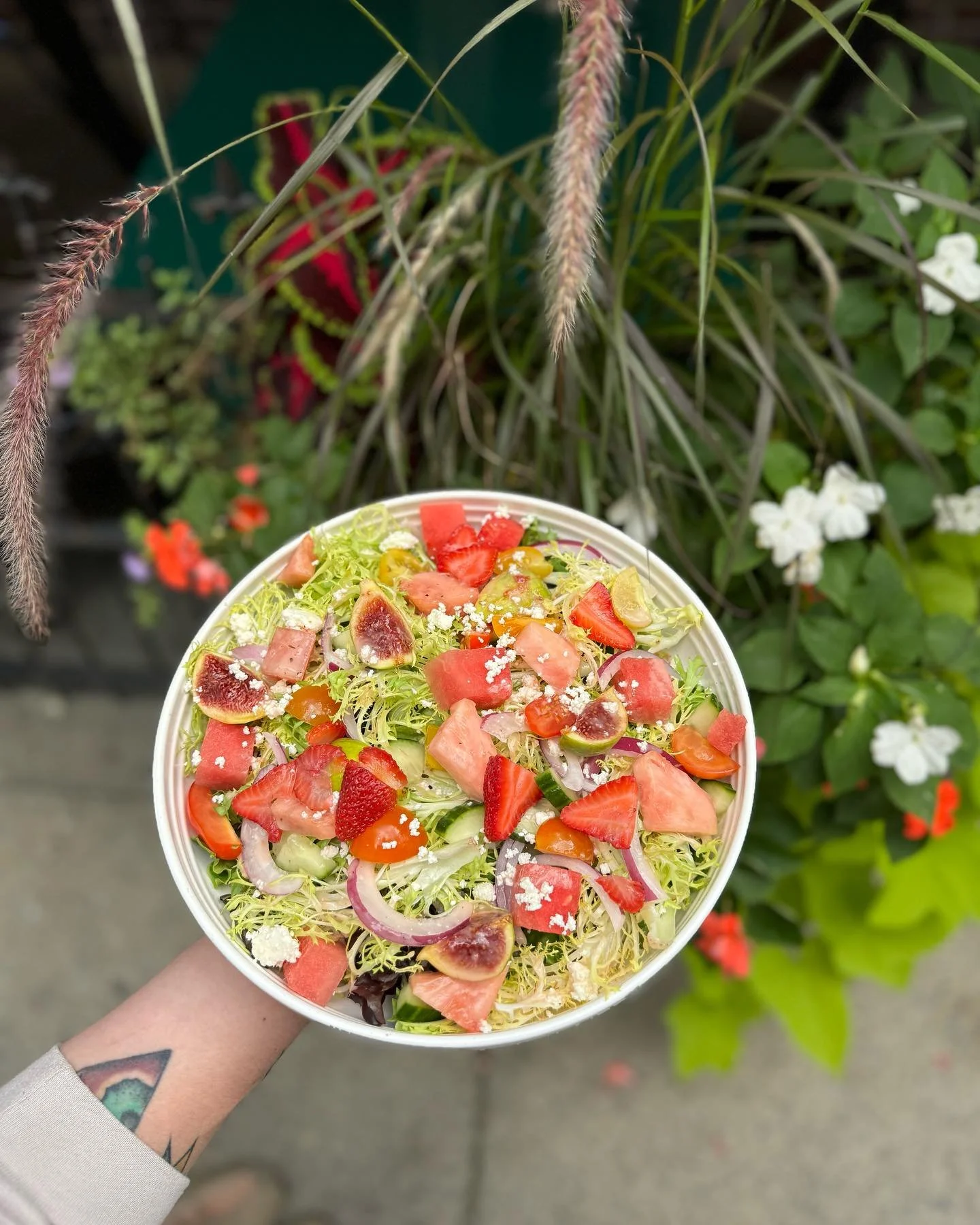 Dove + Deer Albany Best Restaurants