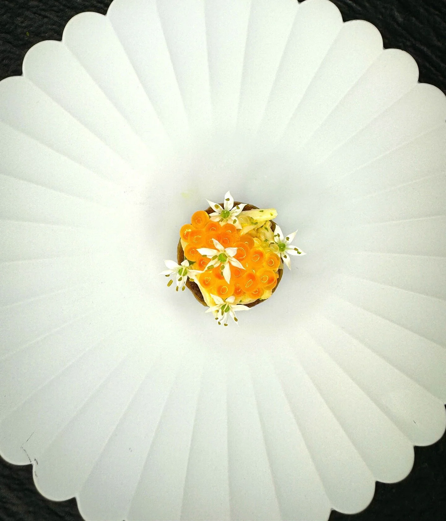 Vestige, Ocean Springs Mississippi Best Restaurants