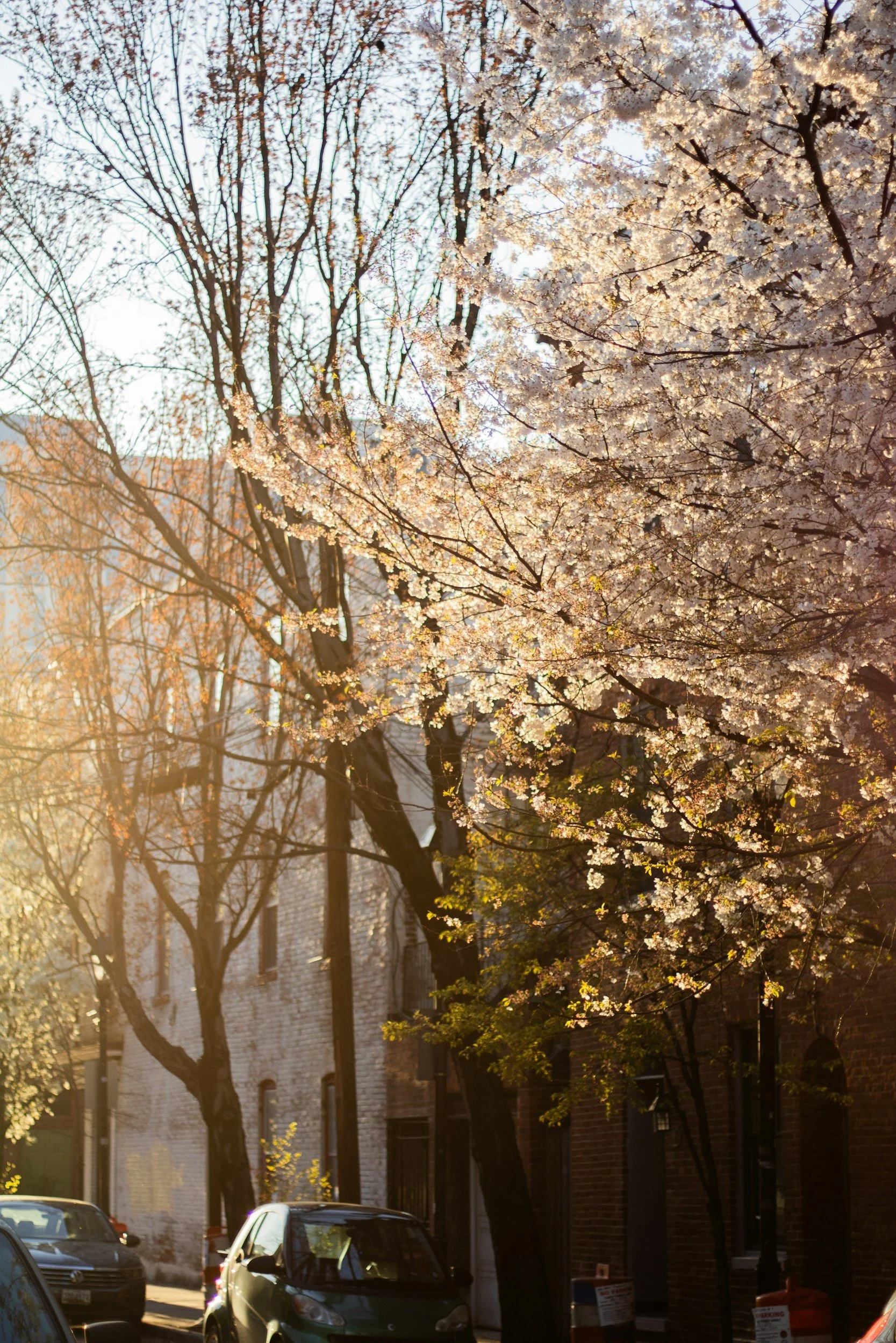 Fells Point Baltimore Things to Do