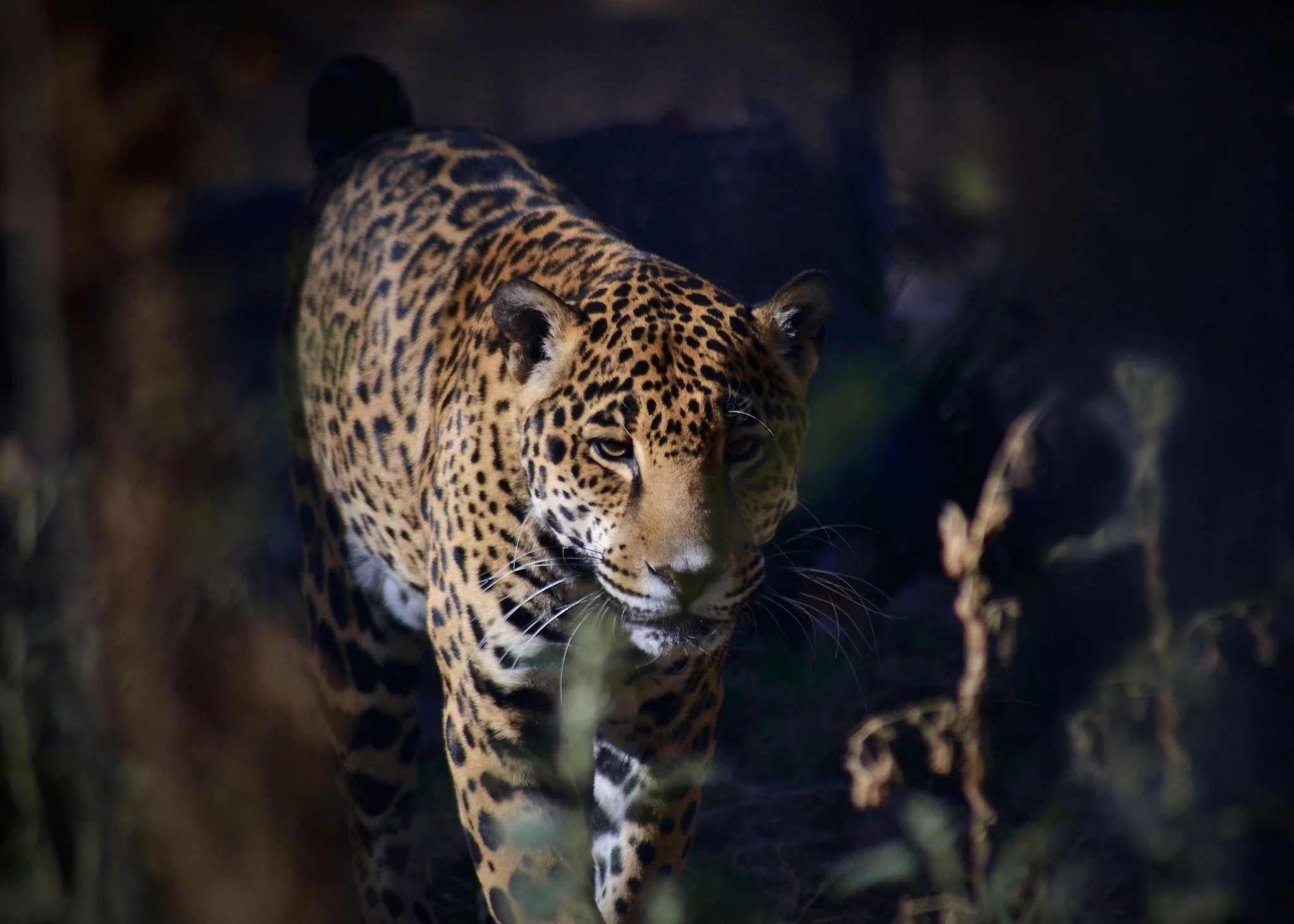 ABQ BioPark