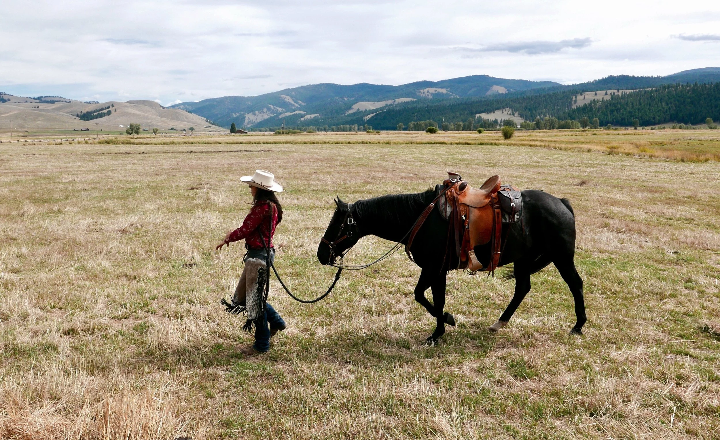 Triple Creek Ranch Montana Cattle Drive Rose