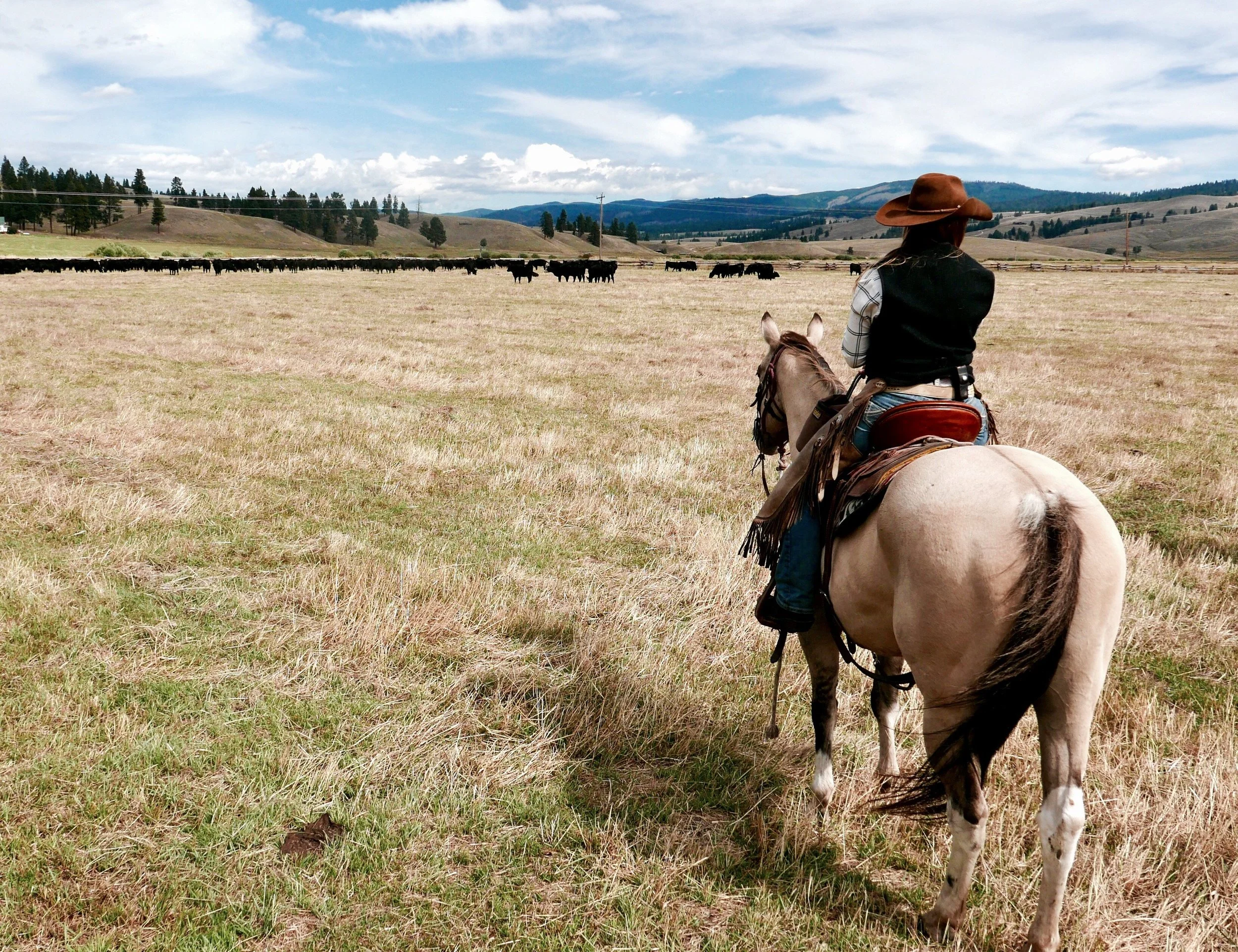 Triple Creek Ranch Montana Cattle Drive Julia