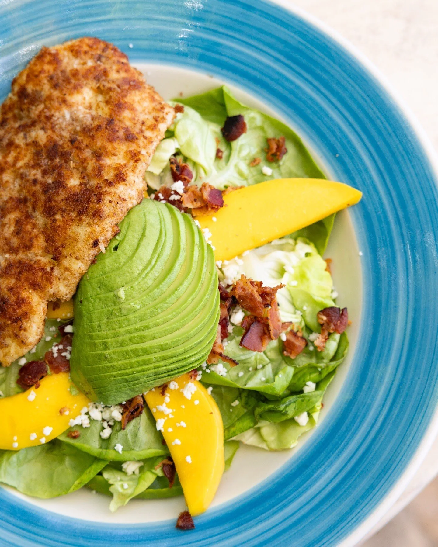 Jupiter Florida Best Restaurants