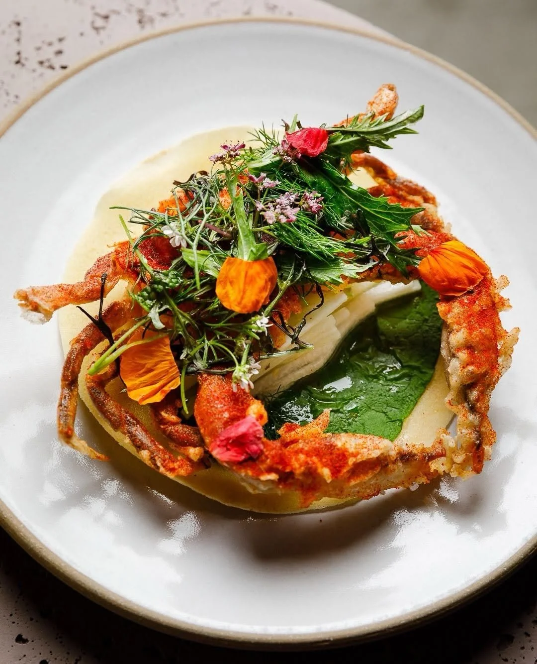 Olive & Rose Long Beach, California Best Restaurants