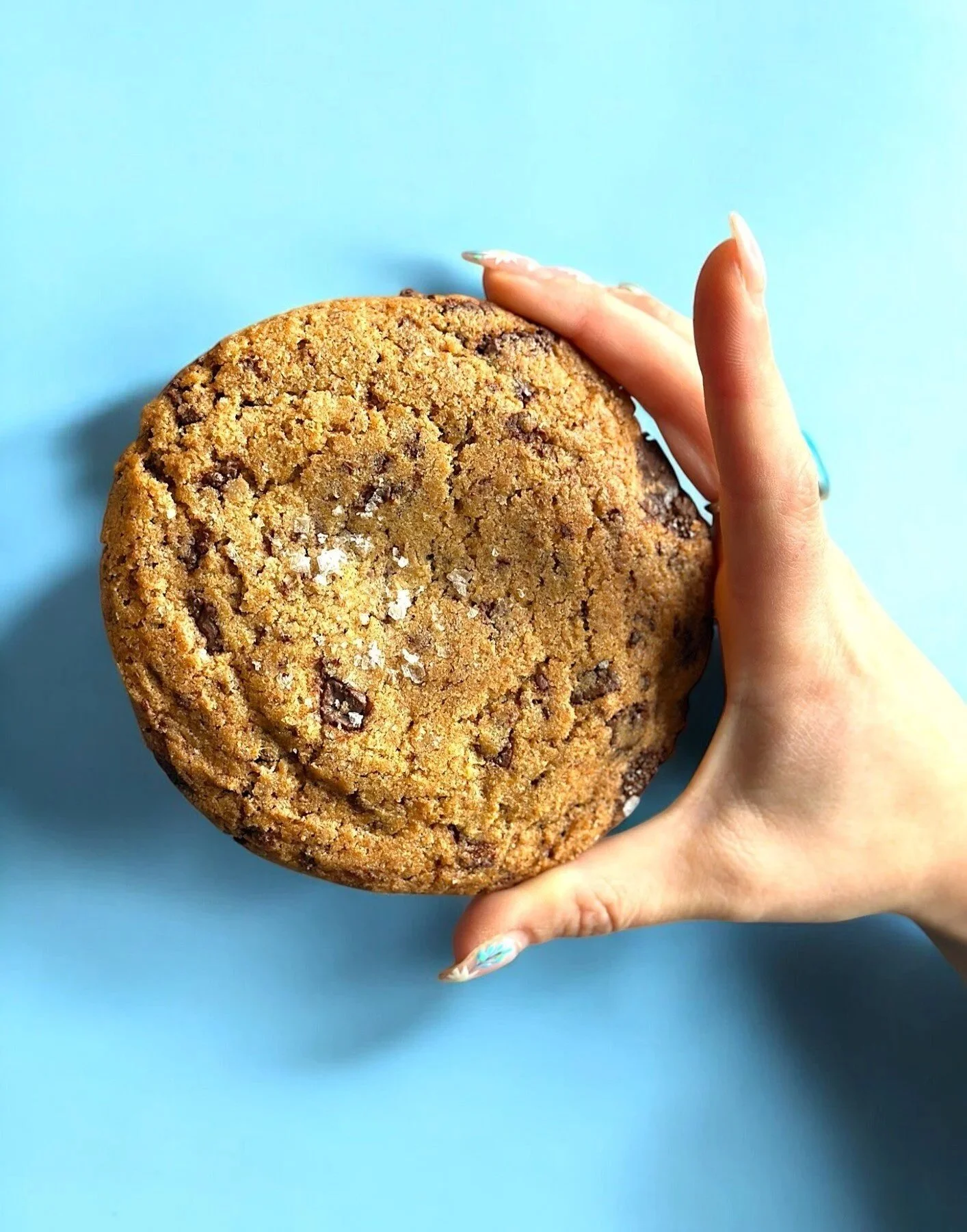 Amelia's Indianapolis Best Restaurants