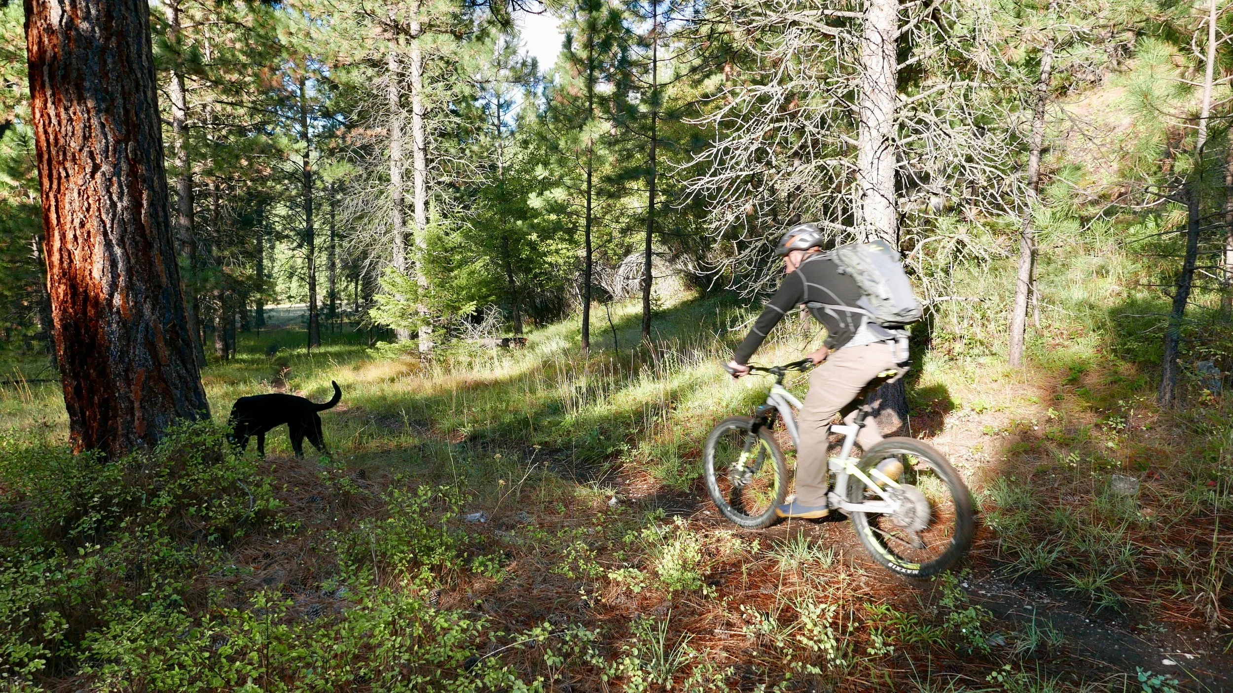 Triple Creek Ranch Montana Mountain biking