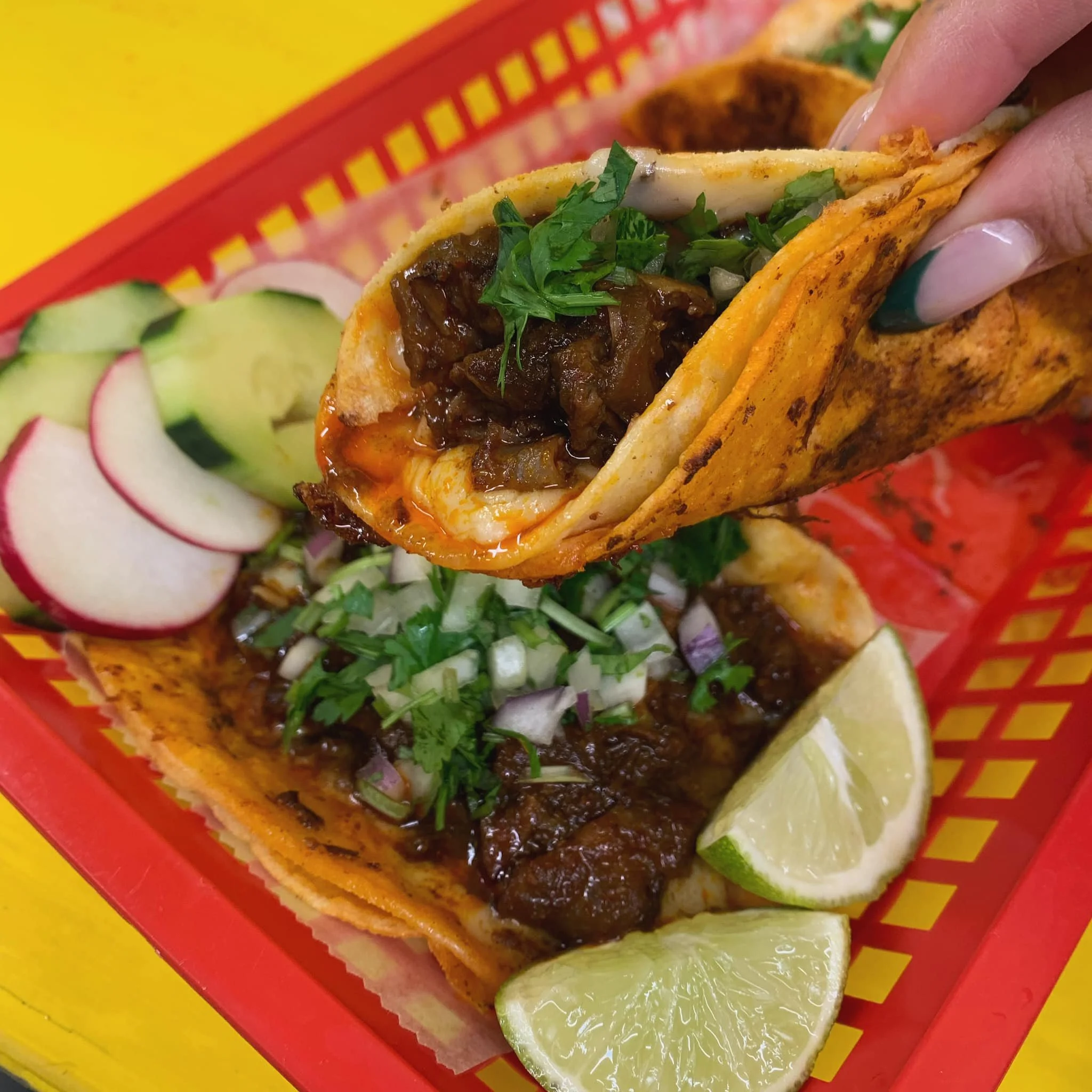 Taqueria la Doña Nashua New Hampshire Michelin Guide