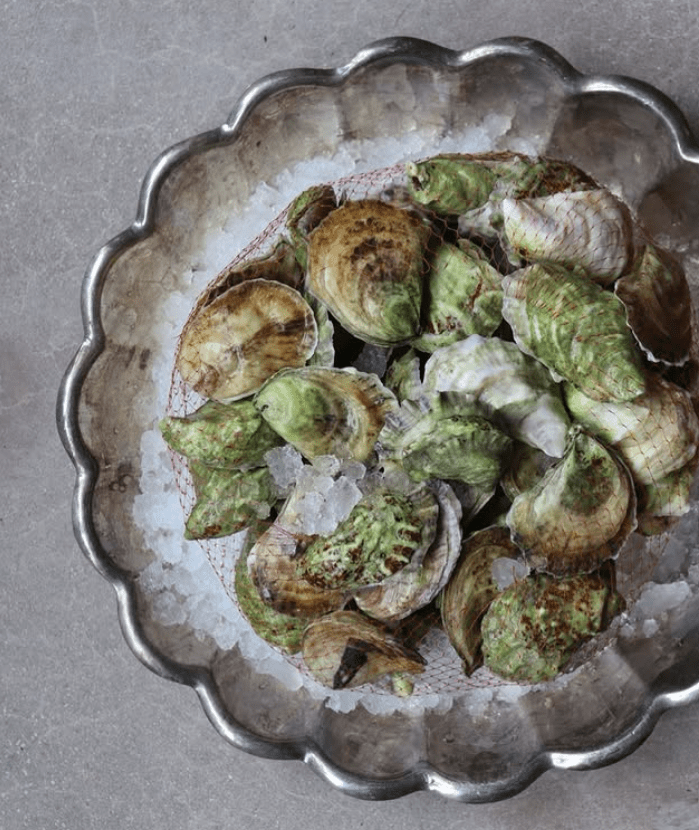 Umbo Oyster Bar Traverse City Michigan Sarah Welch Cameron Rolka
