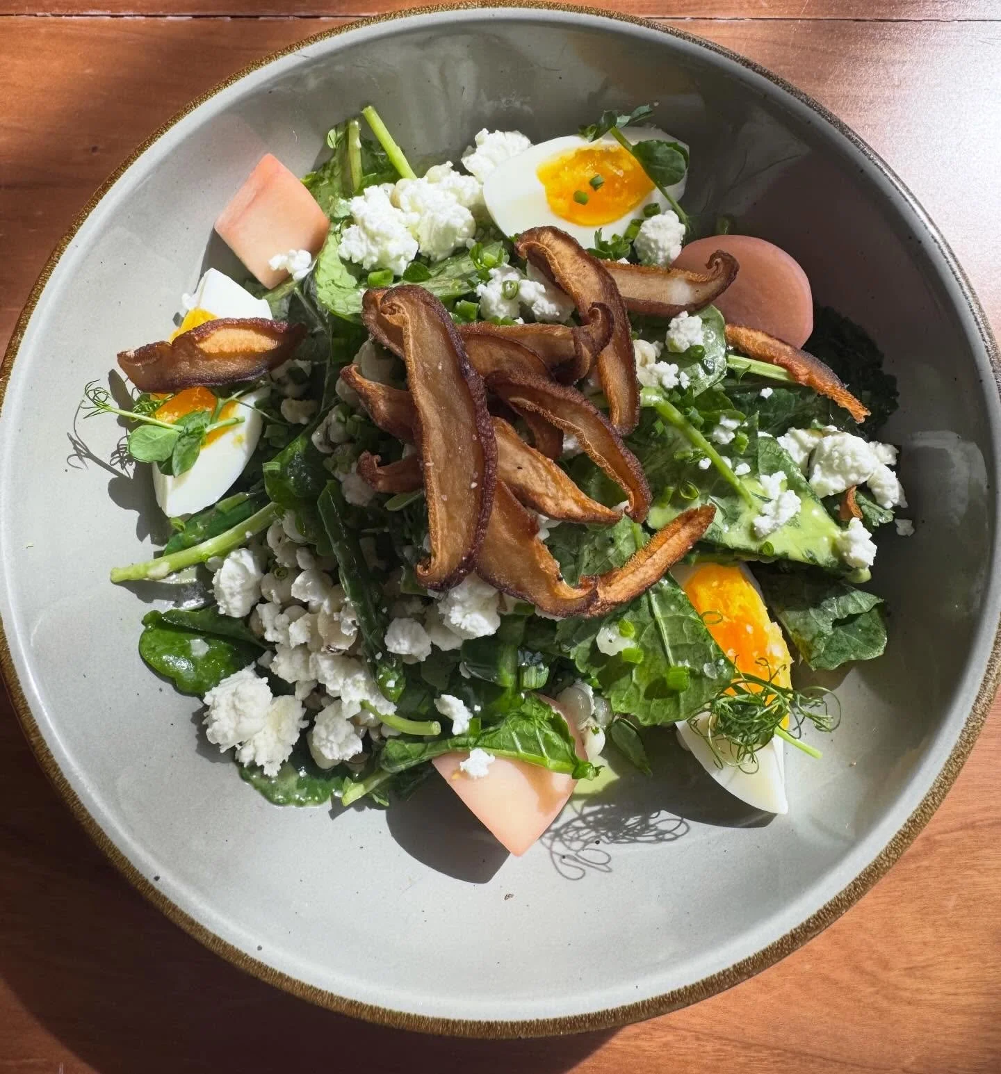Moosewood Ithaca New York Best Restaurants