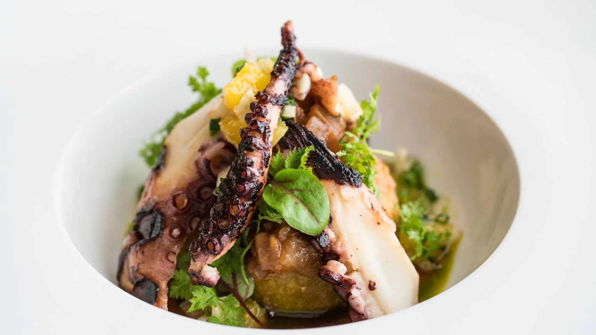 Arethusa al tavolo Bantam Connecticut Best Restaurant octopus