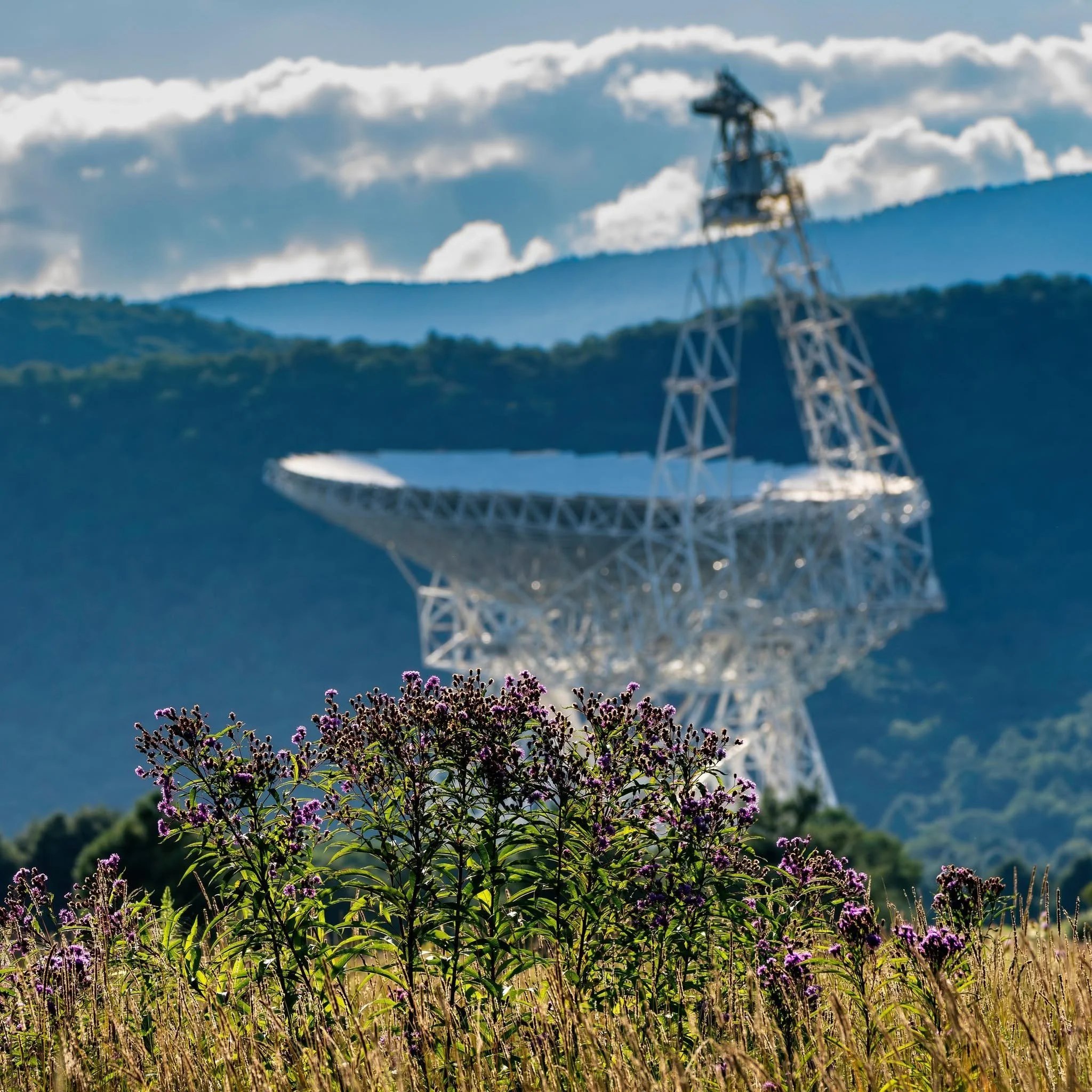 Green Bank Observatory Best West Virginia Adventures