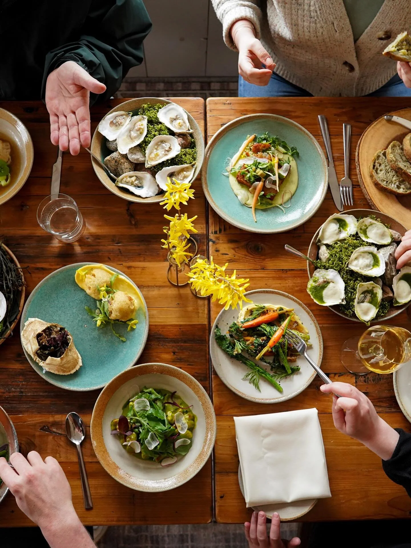 Aragosta Deer island Maine Best Restaurant