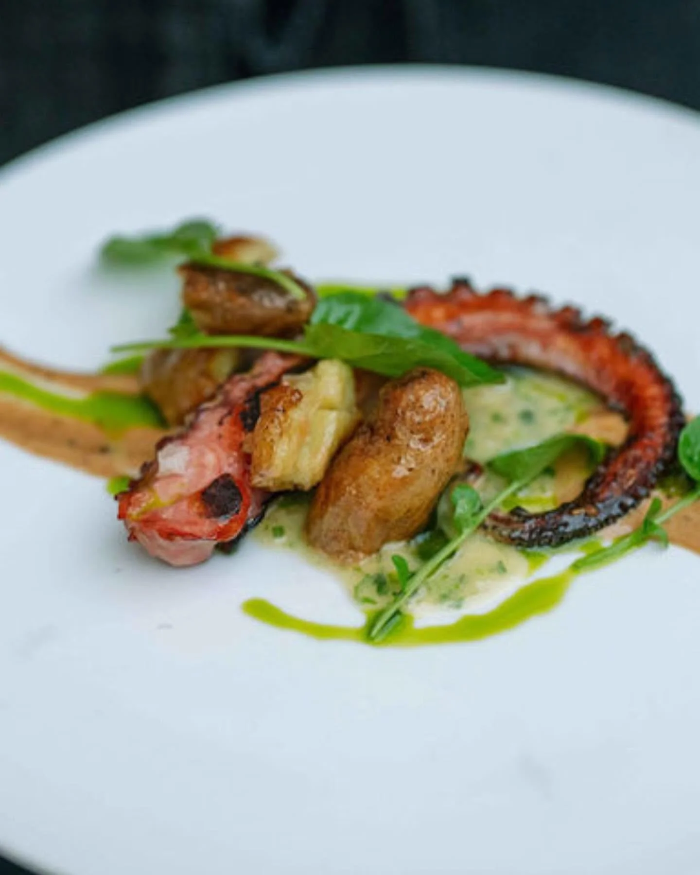 Stella at Gravity Haus Truckee-Tahoe Lake Tahoe Best Restaurants