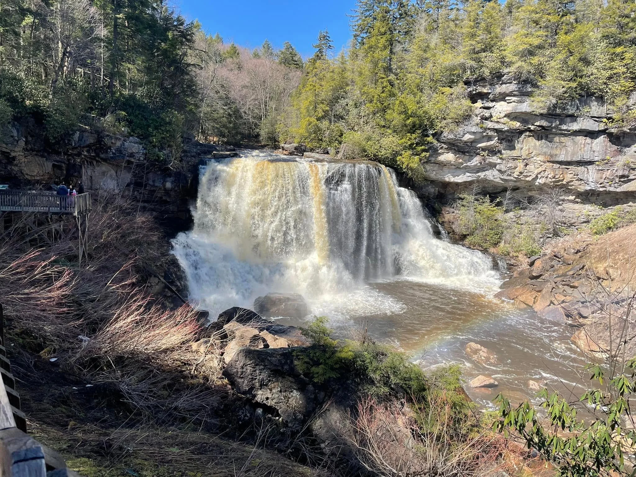 Blackwater Falls State Park, Davis Best West Virginia Adventures