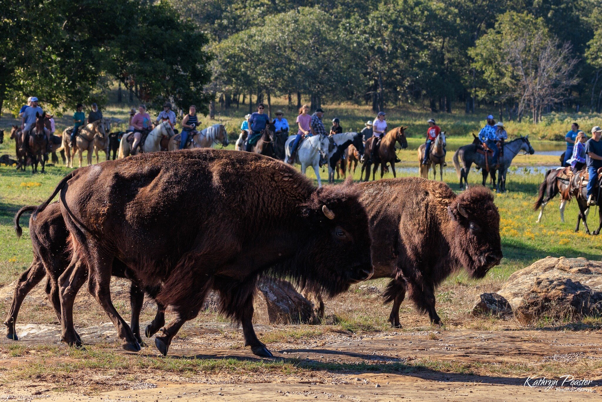 Woolaroc Museum & Wildlife Preserve Oklahoma