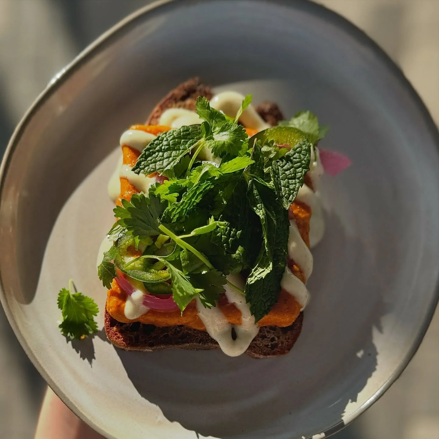 Planted Bloomington Banh Mi Flat
