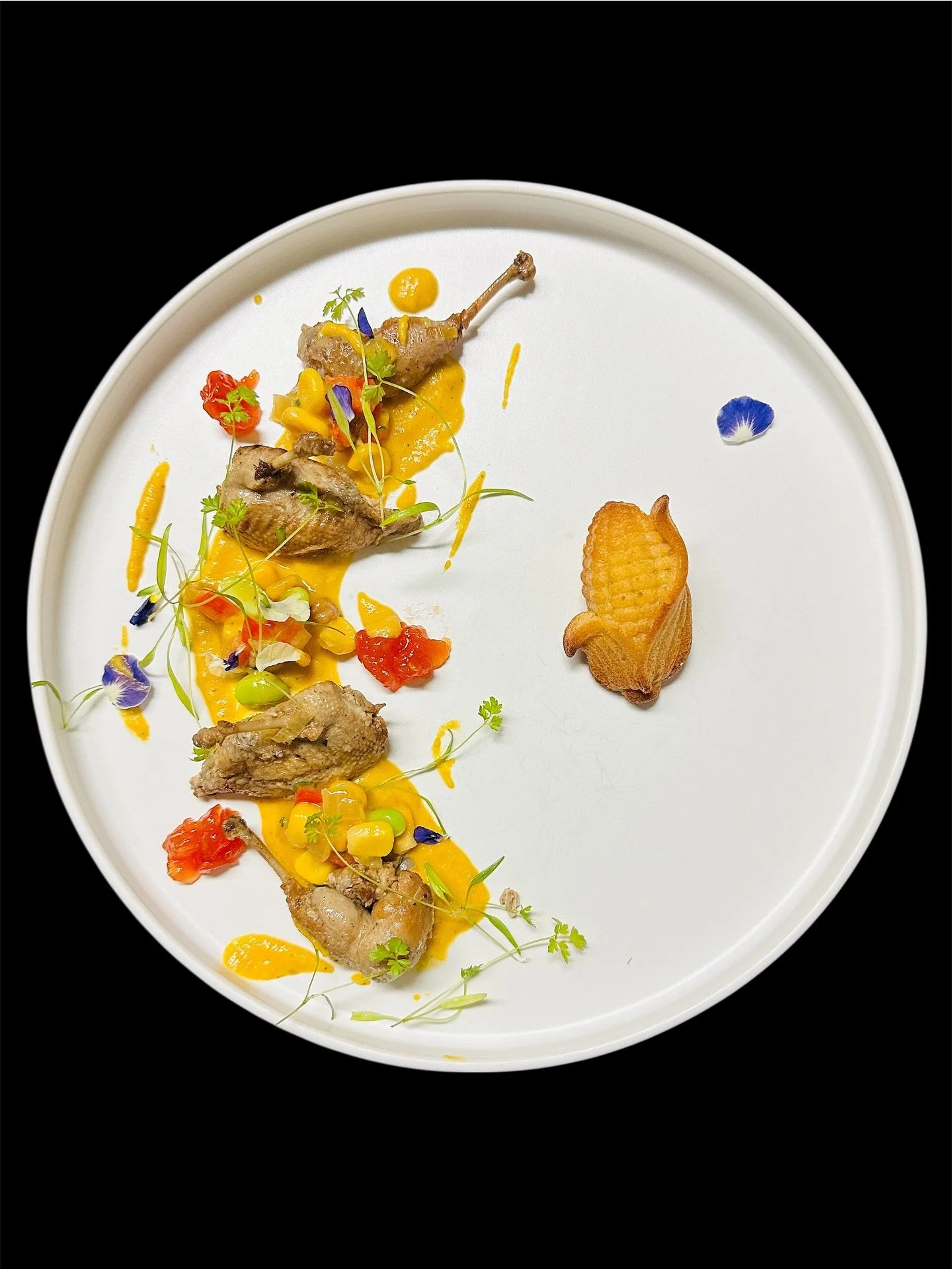 olea tasting menu New Haven Best Restaurants