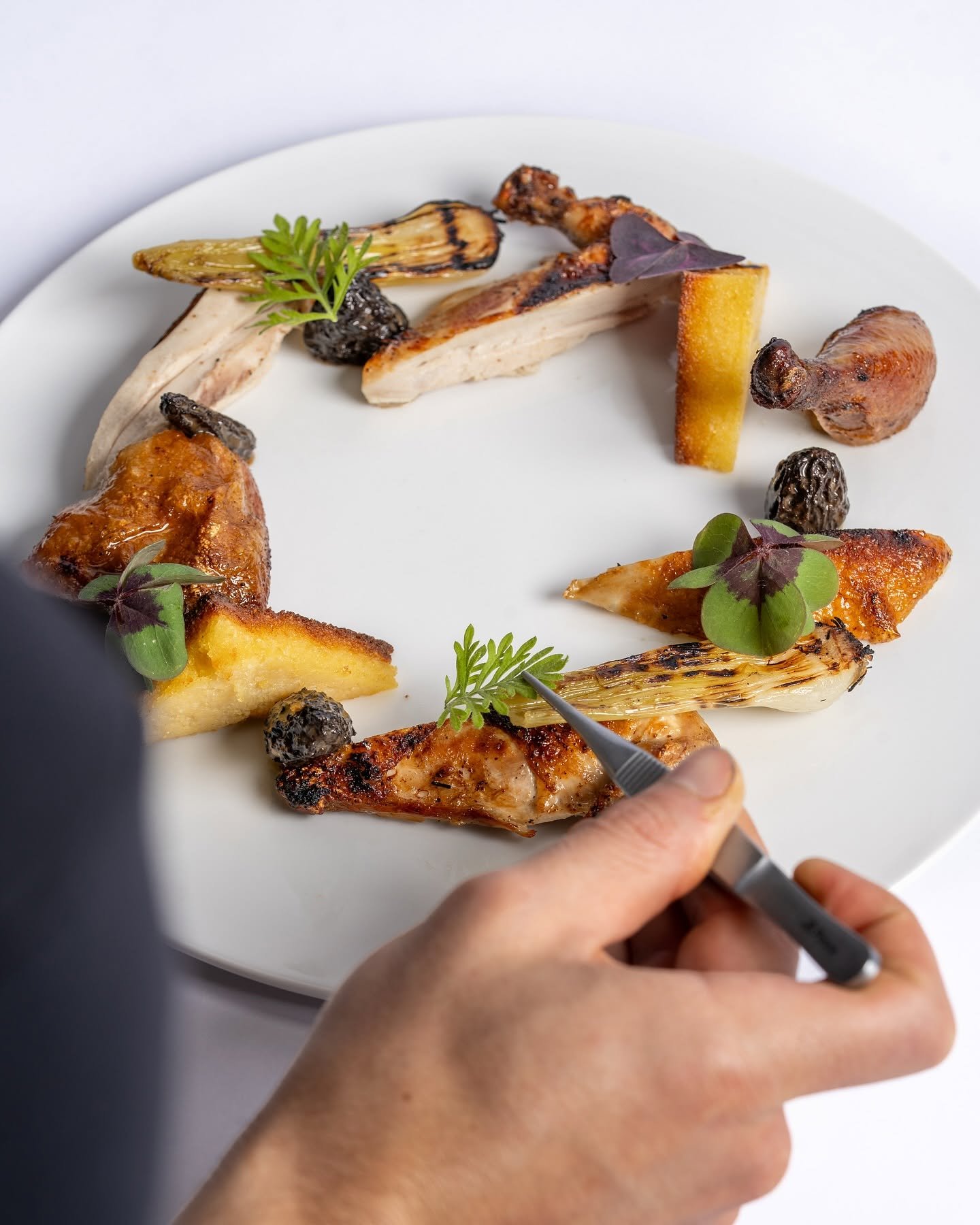 Chicken Poussin Ariete Miami