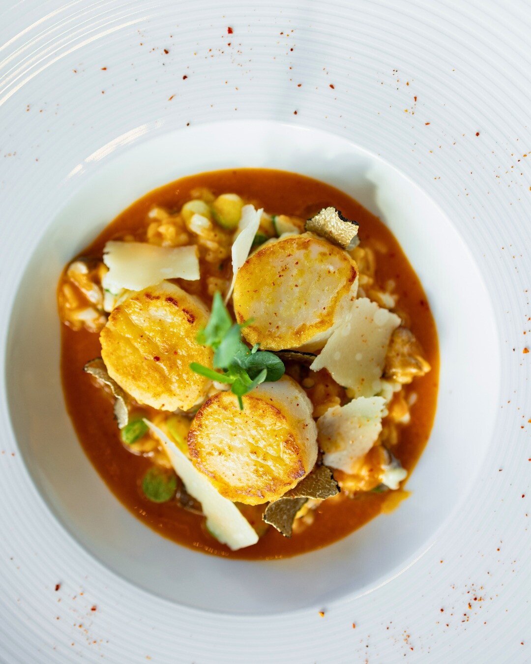 1856 Culinary Residence Auburn Alabama Best Restaurant