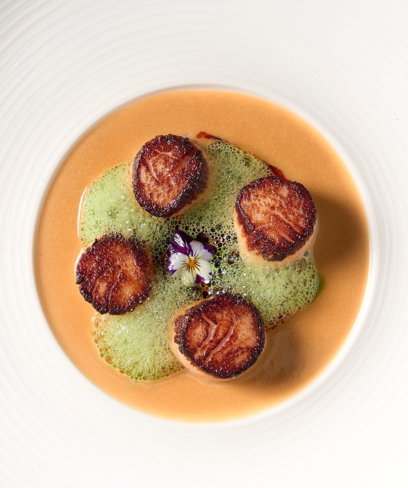 Bardea Food and Drink Wilmington Delaware Best Restaurants