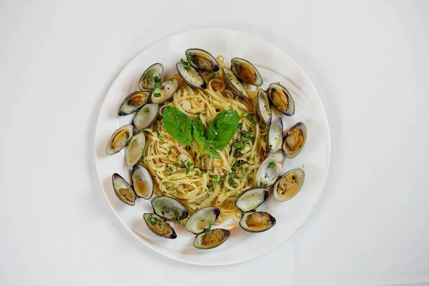 Silvio's Italian Restaurant & Pizzeria Yonkers Best Restaurants