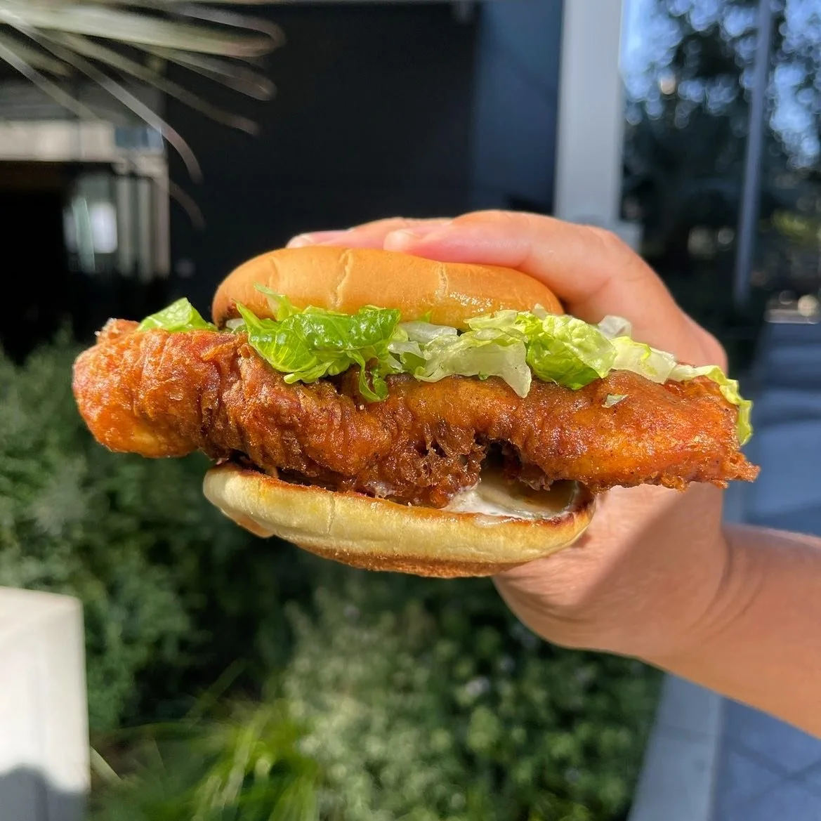 Go Go Bird Riverside California Best Restaurants