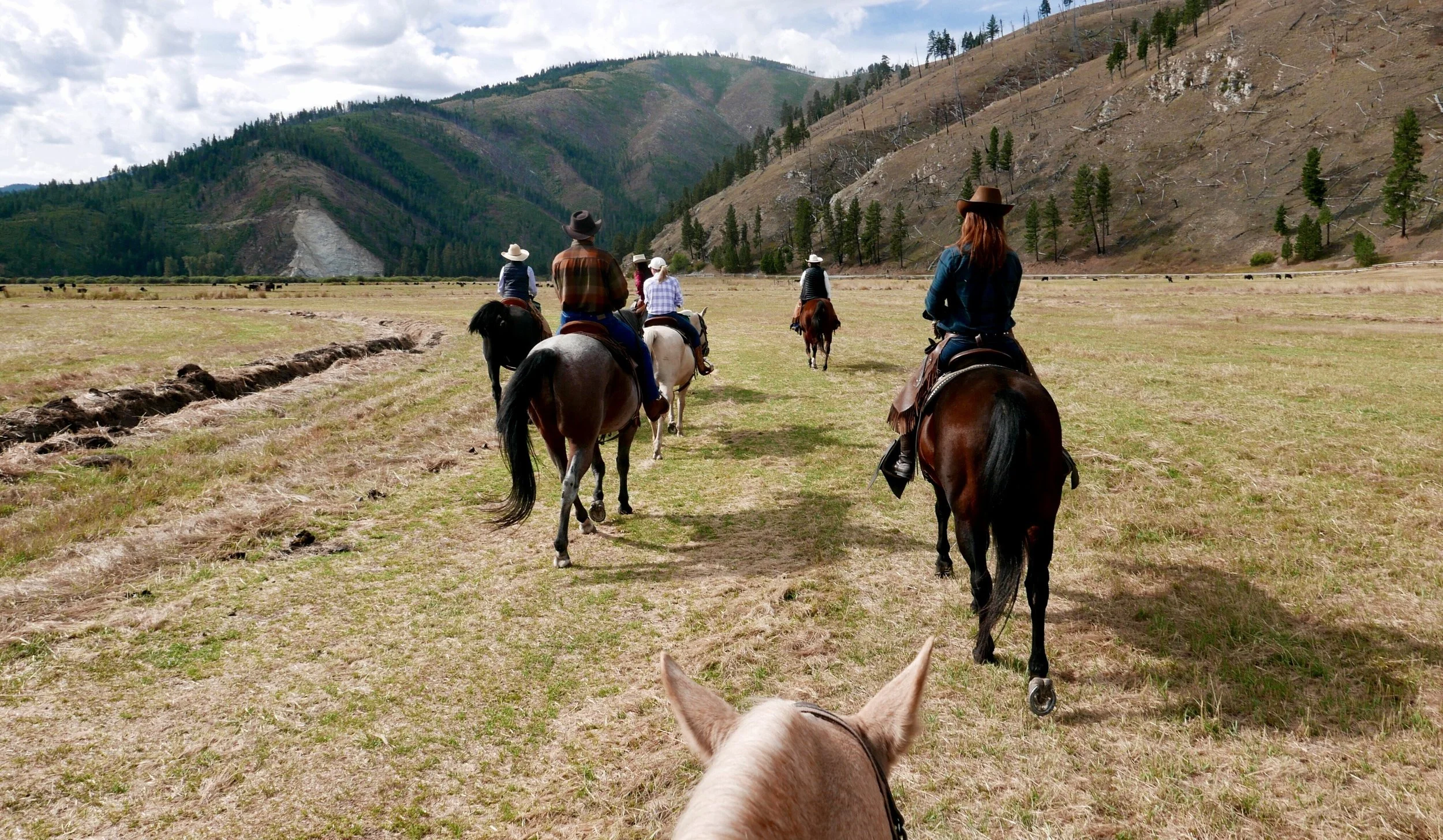 Triple Creek Ranch Montana Cattle Drive Head wrangler Julia