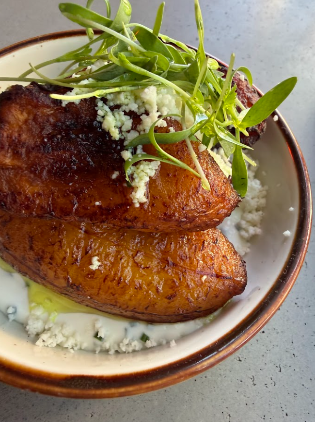 Palmar Latin Kitchen Asheville Restaurant Review Plantains