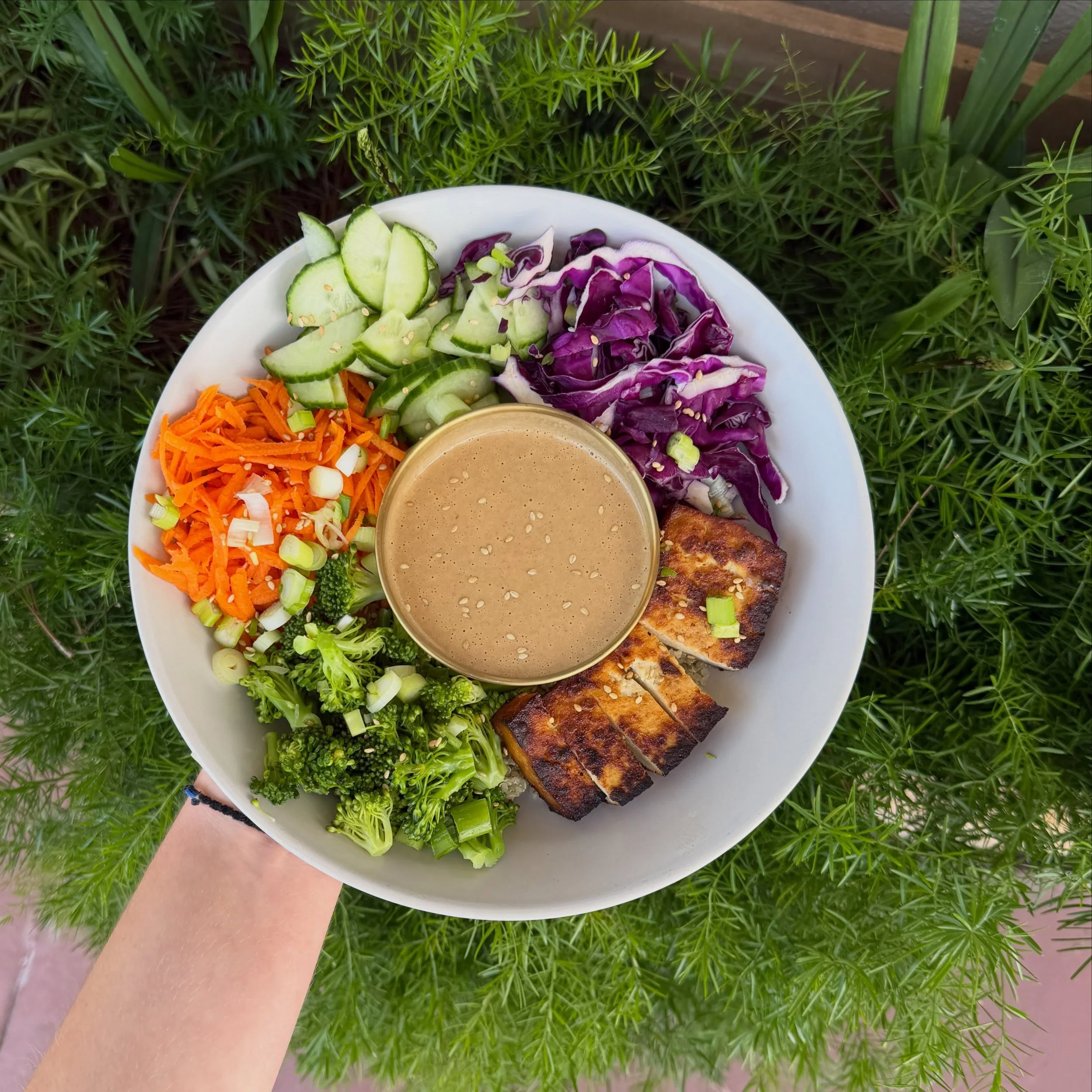 Vegetation Plant Food Lakeland Florida Best Restaurants