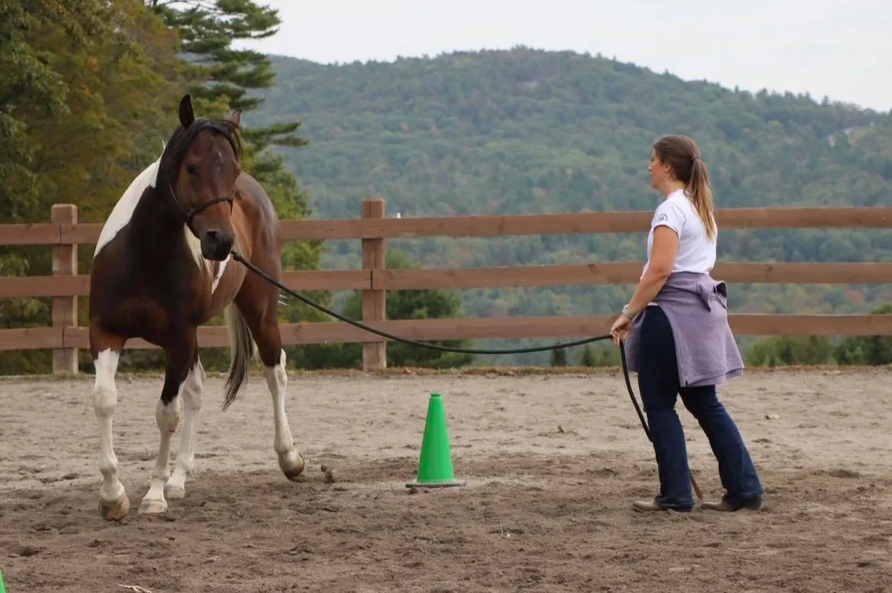 Two-Day Horsemanship Clinic