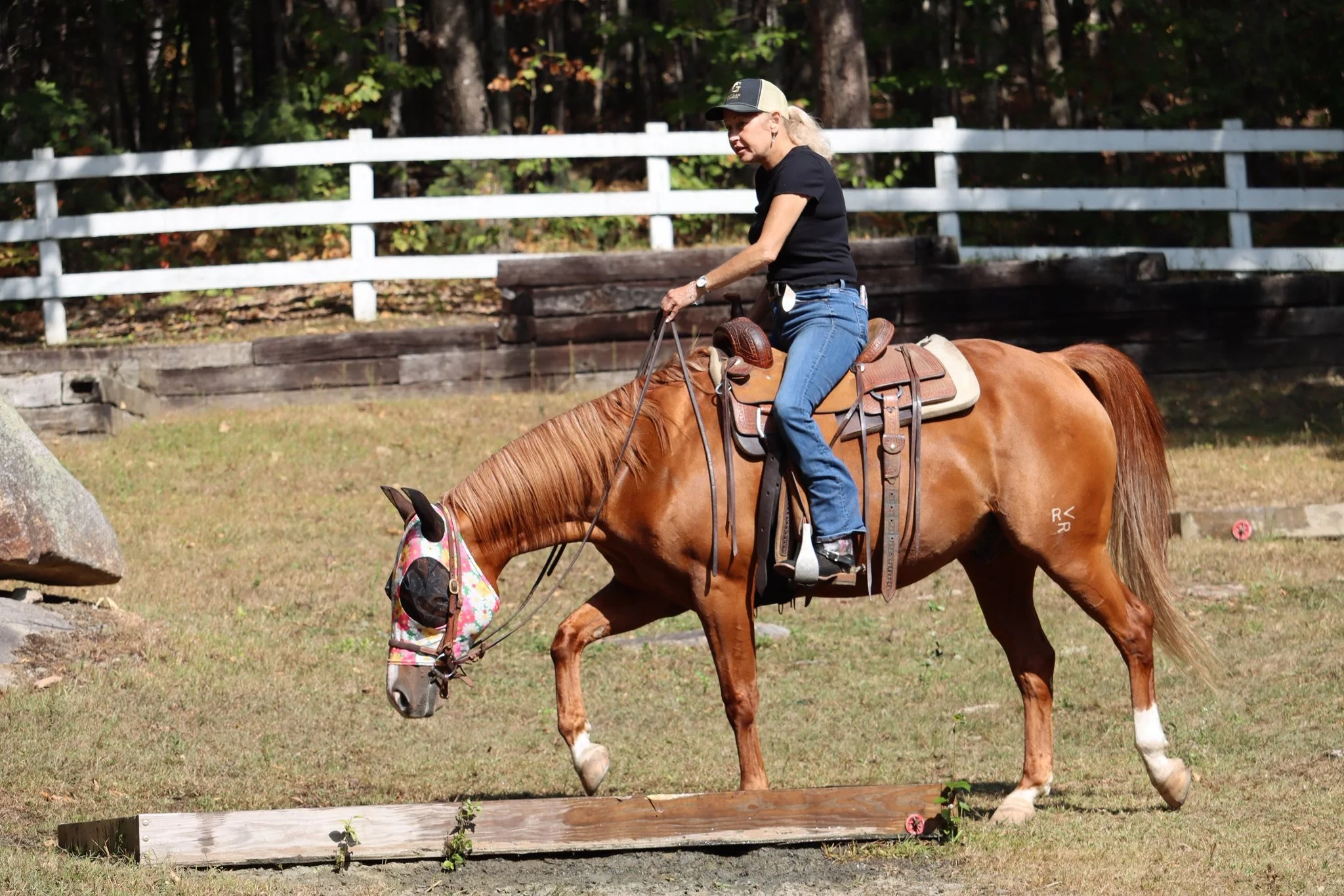 Two-Day Horsemanship Clinic