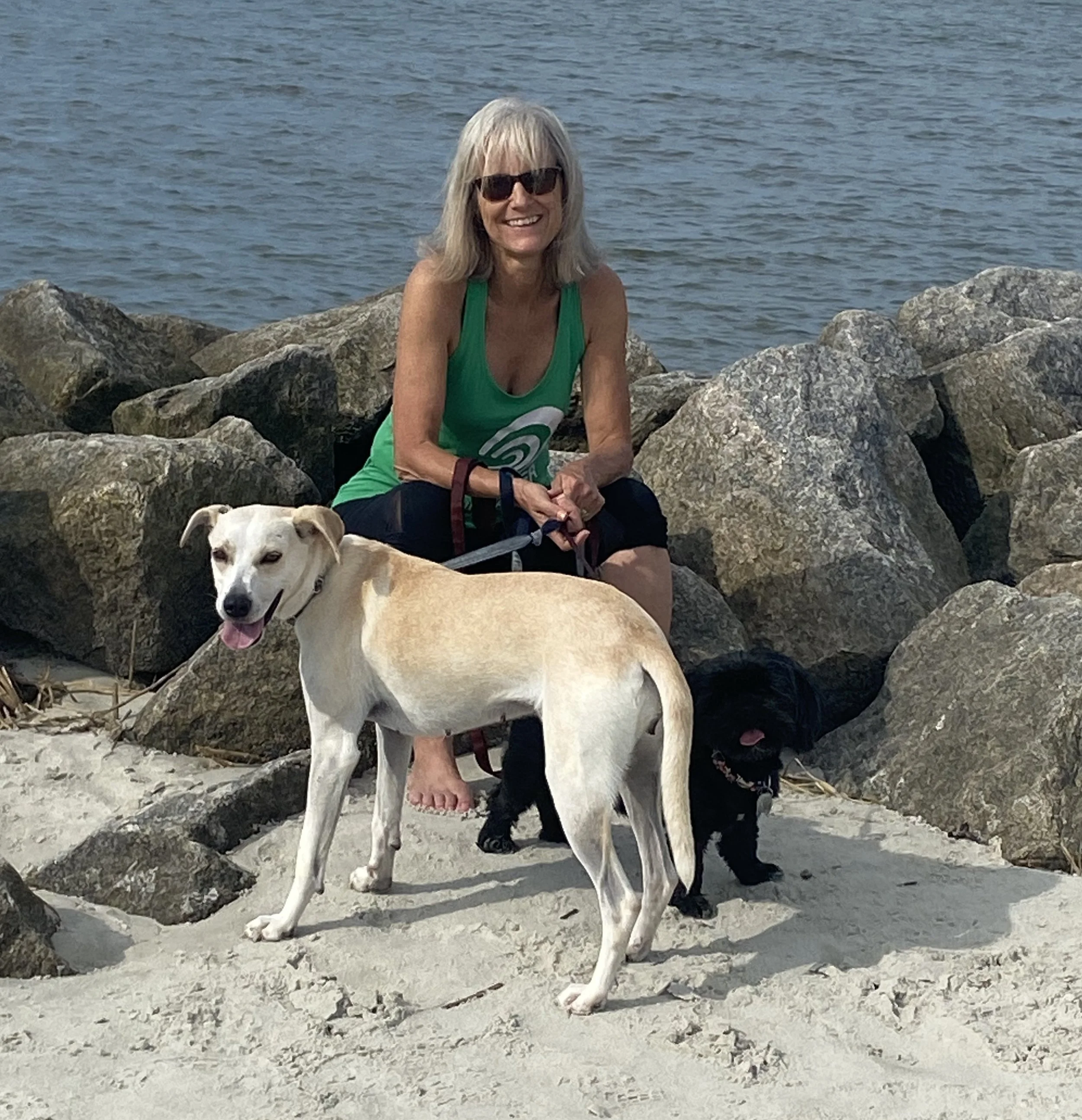 A woman with gray hair wearing sunglasses and a green tank top sitting on rocks near the water, with a white dog lying beside her, at the beach.