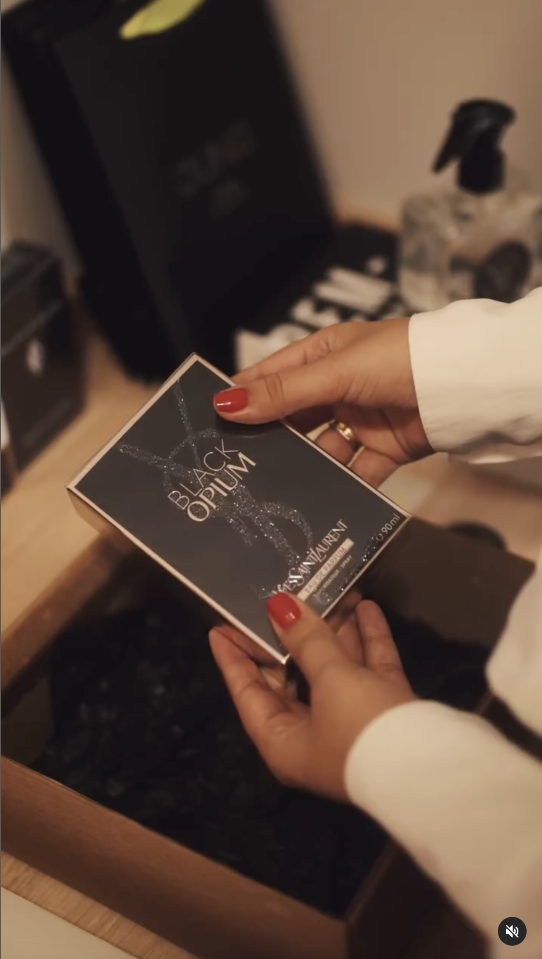 Captura de Tela 2024-11-06 às 09.10.22.png