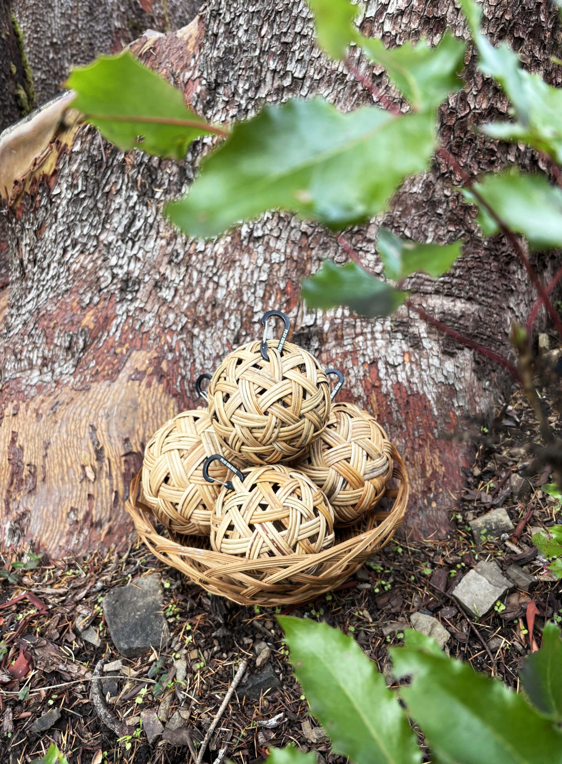 Chi Ball 4 Pack Mixed2.jpg