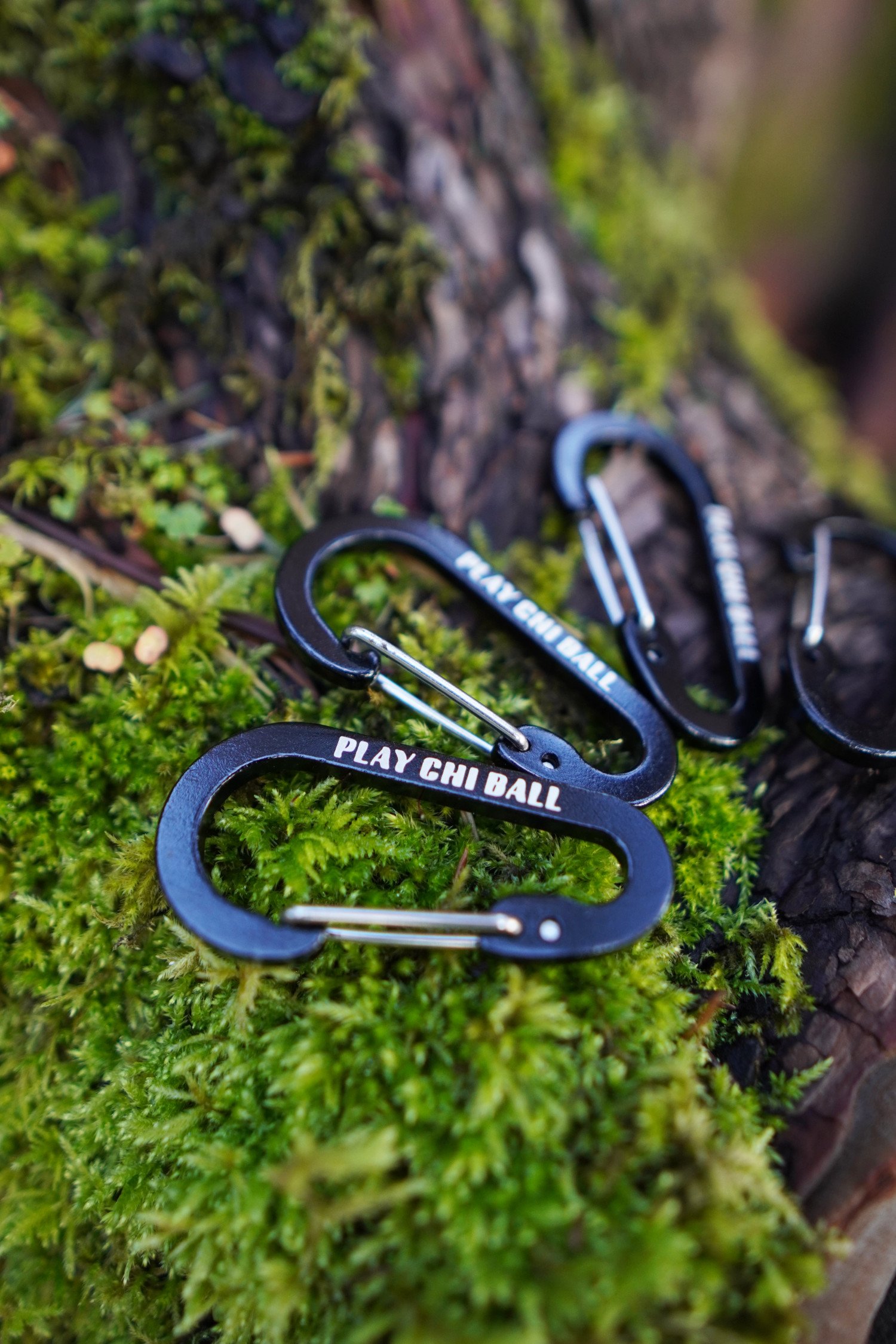 Carabiner1.jpg