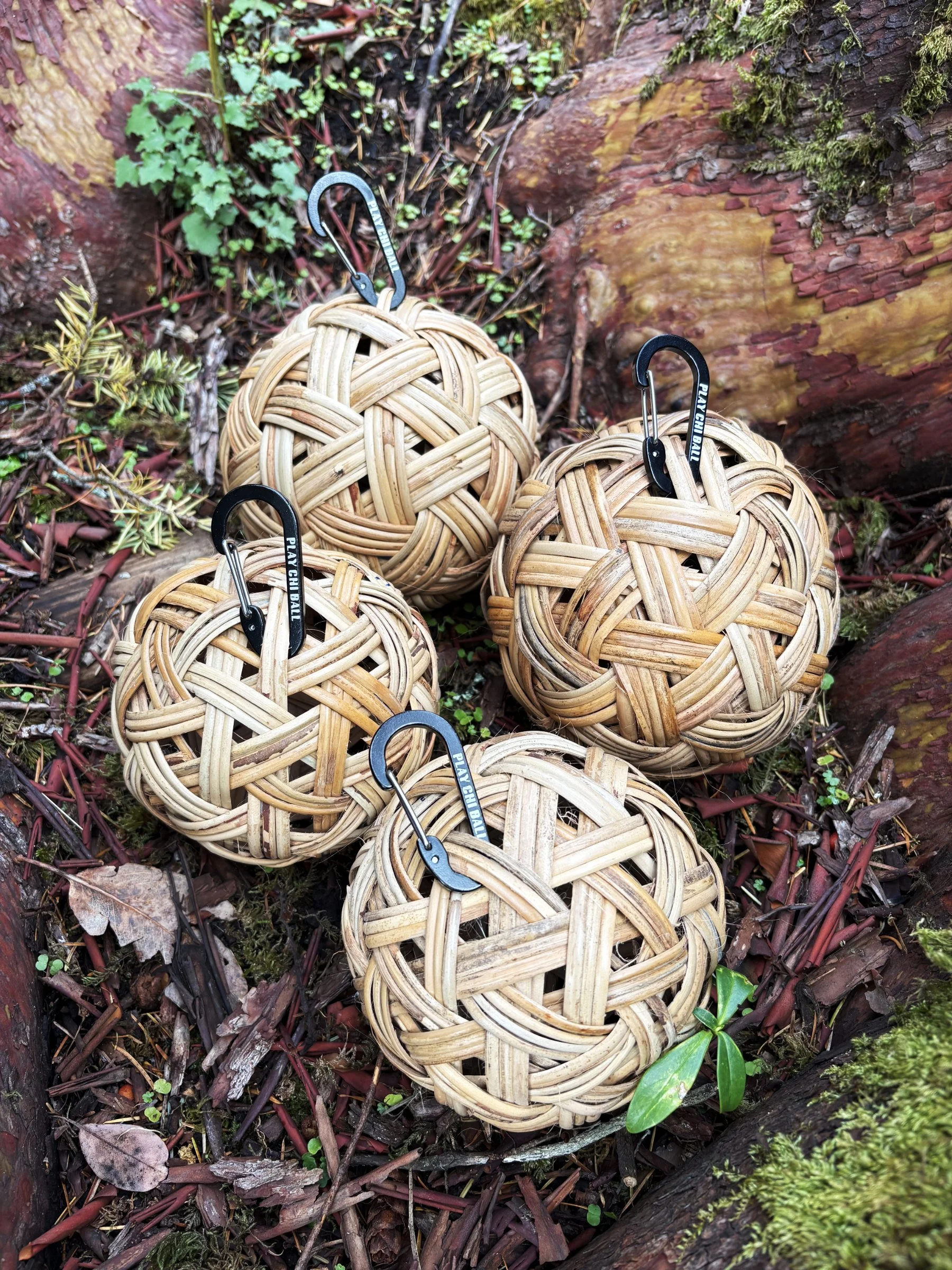 Chi Ball 4 Pack Mixed.jpg