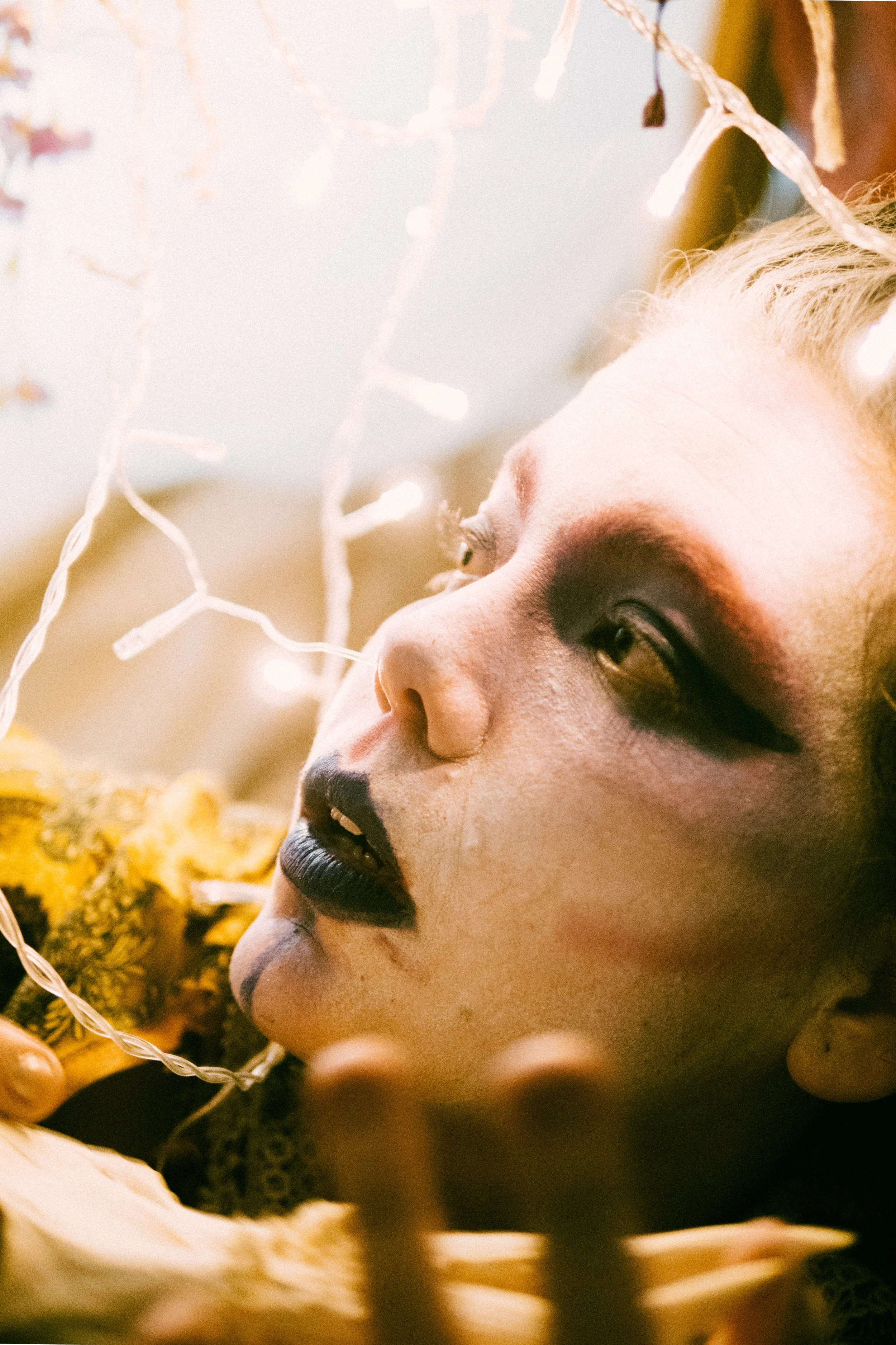 Copy of P1088181.jpg