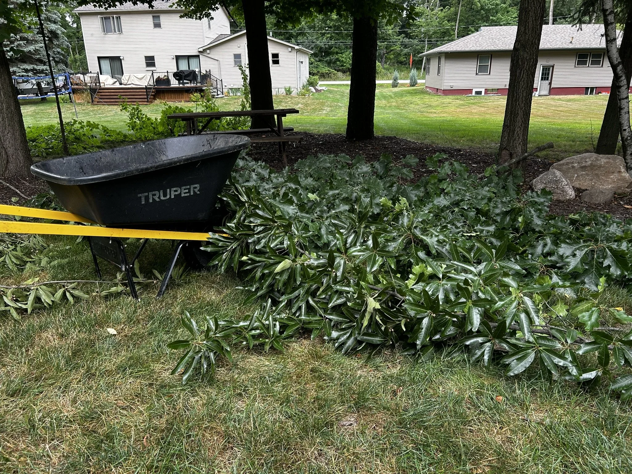 A residential yard before green waste removal.