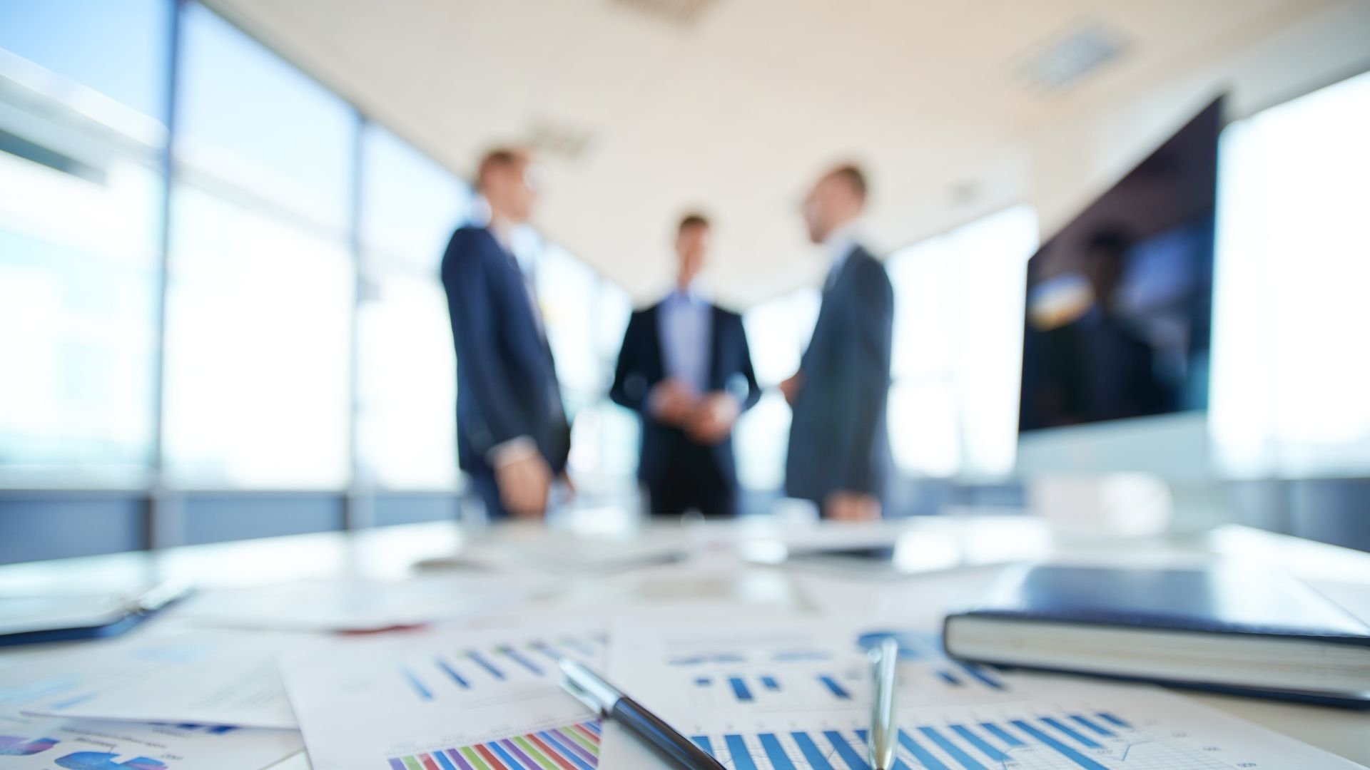 ERP Consultations
