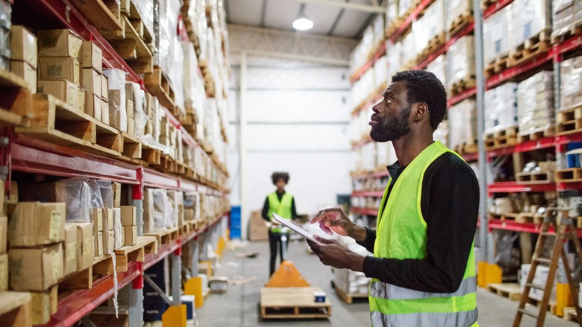 warehouse mangement solutions