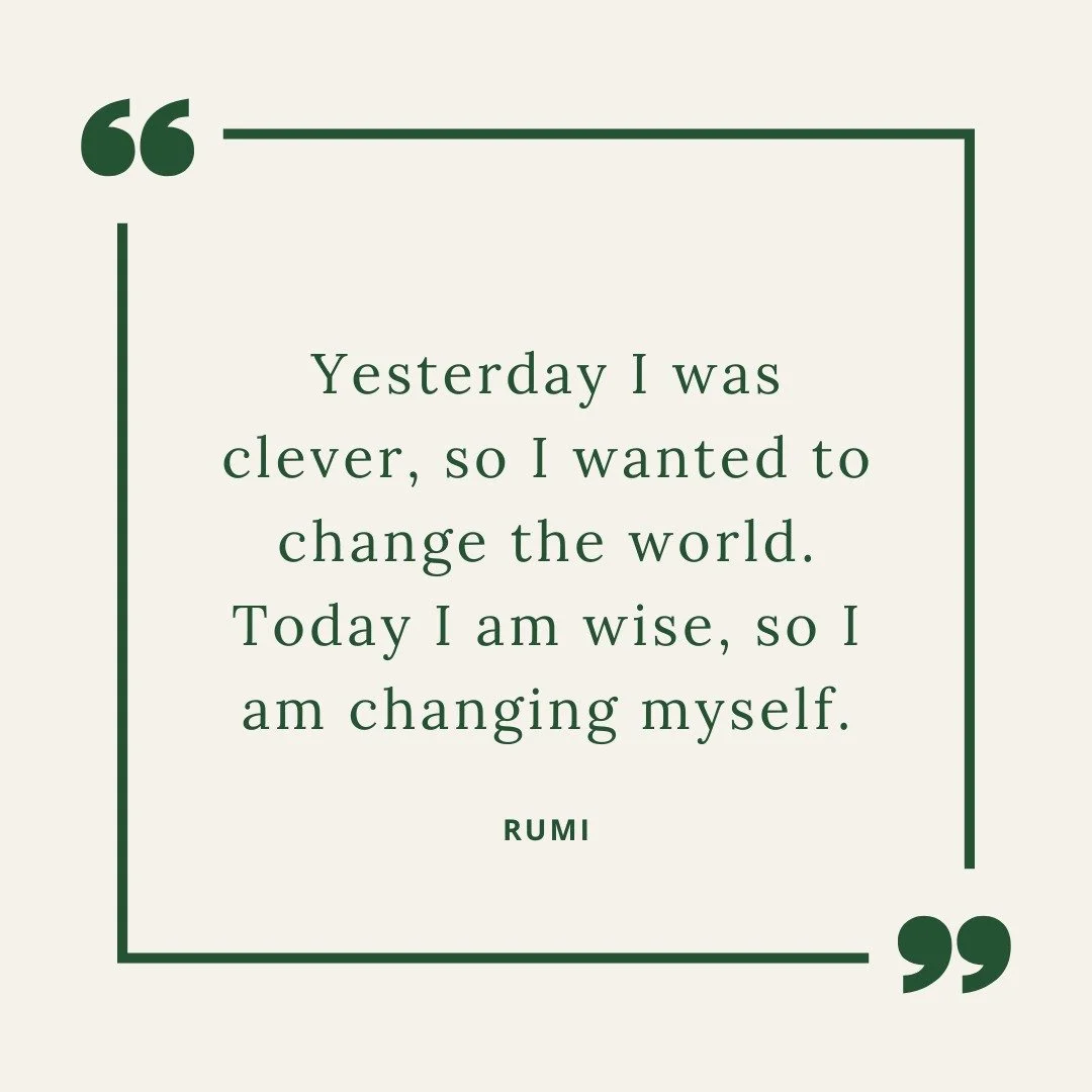 Learning to let go of frustration towards others and focus on my own internal evolution was a huge turning point on my spiritual journey. I remember this quote whenever I begin to feel overwhelmed by the state of the world. ✨ 🖤 ✨