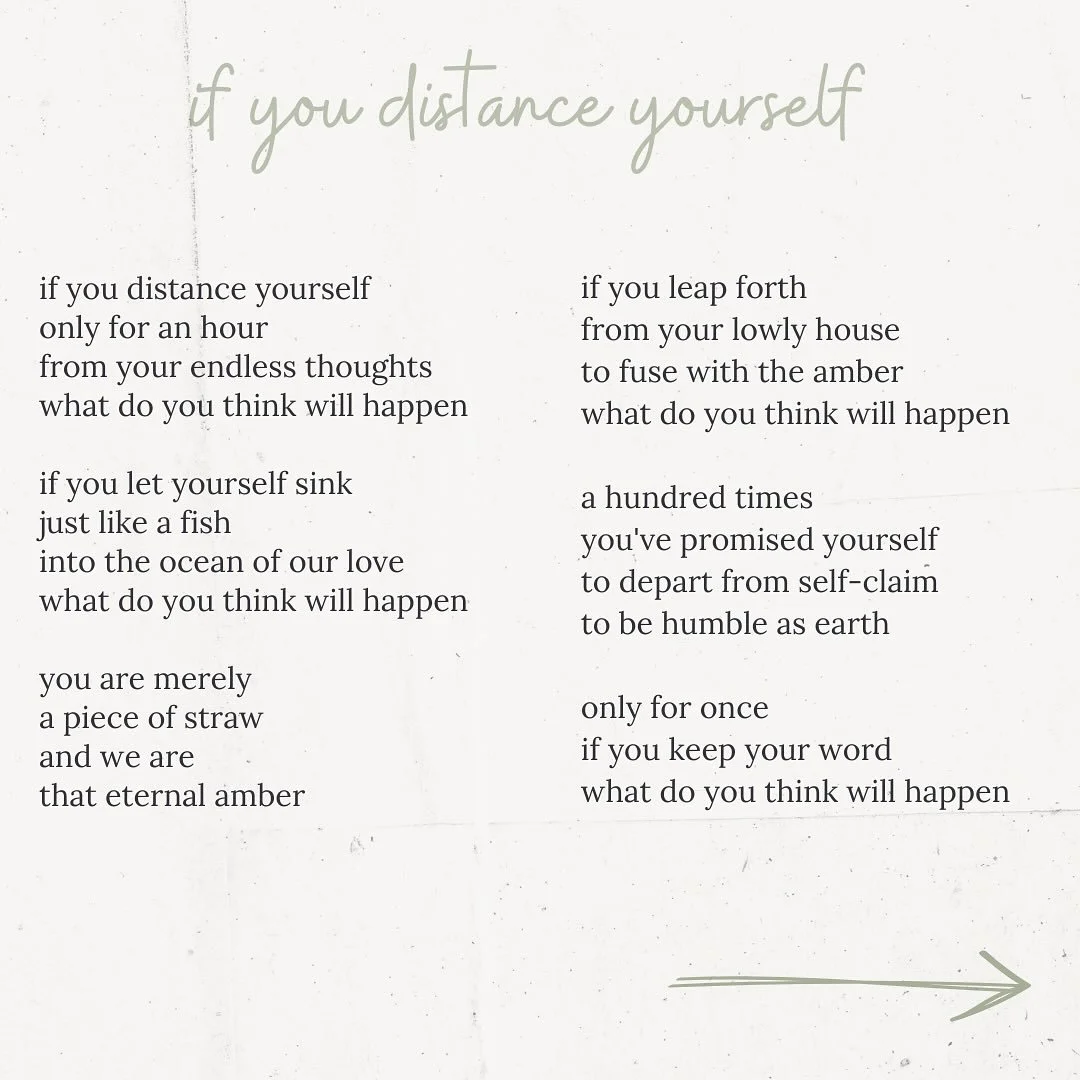 What do you think would happen? 🦋
.
#rumiquotes #naderkhalili #rumipoetry