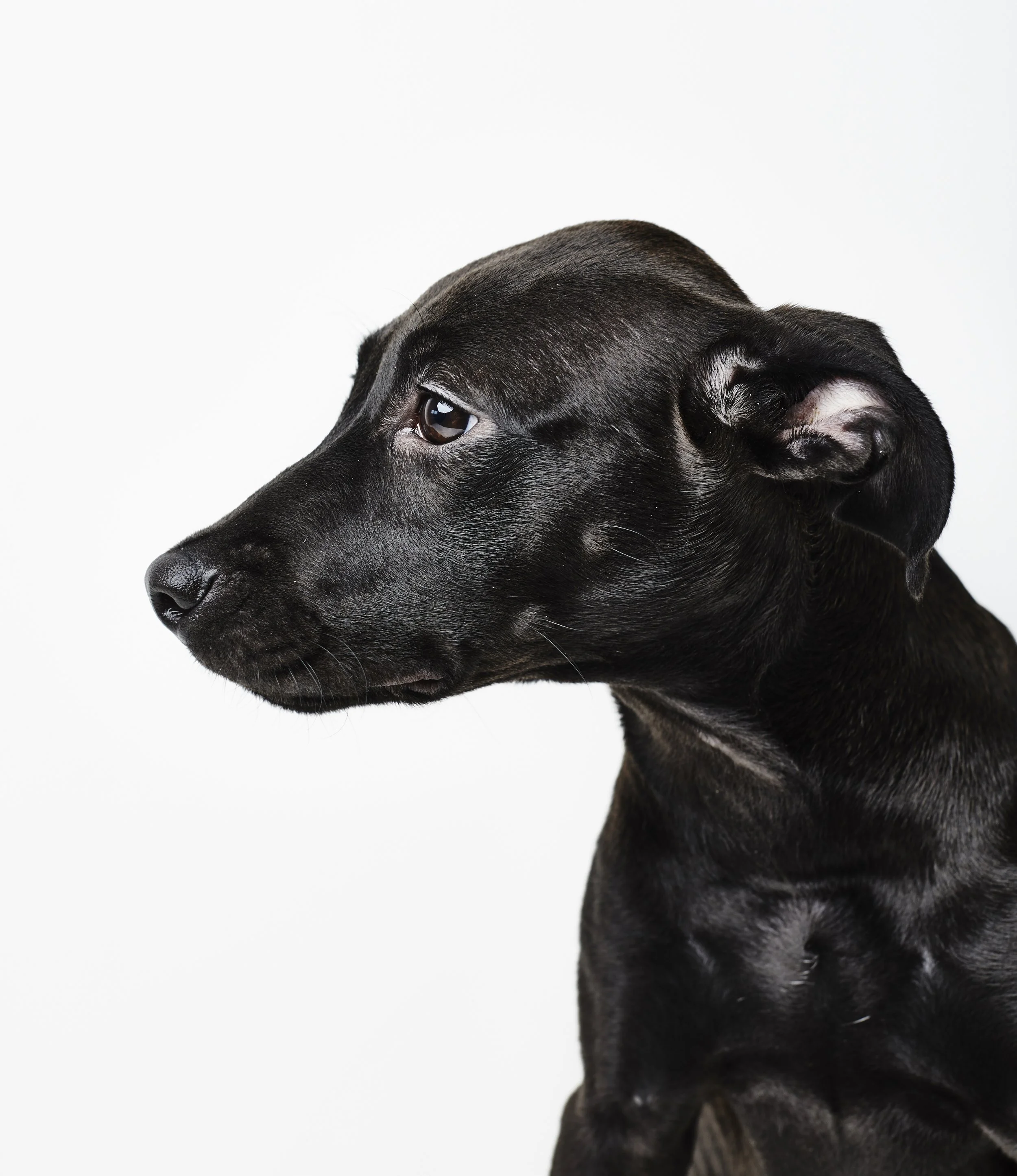 CODYULRICH_PORTRAITS_18.jpg